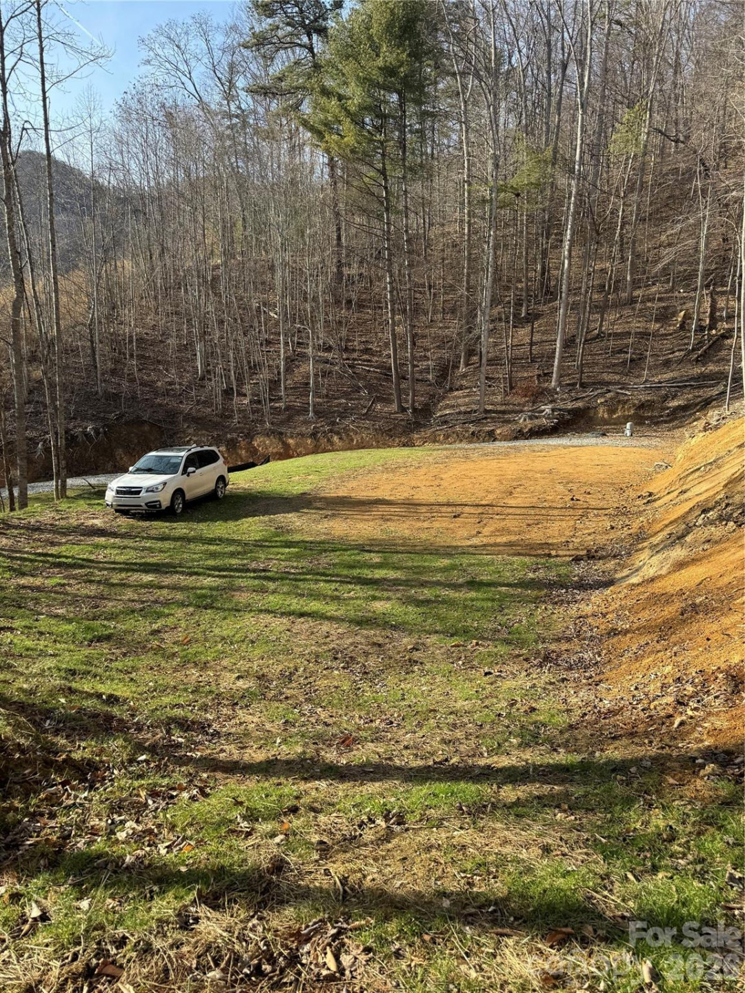 890 Fisher Branch Road - Photo 19