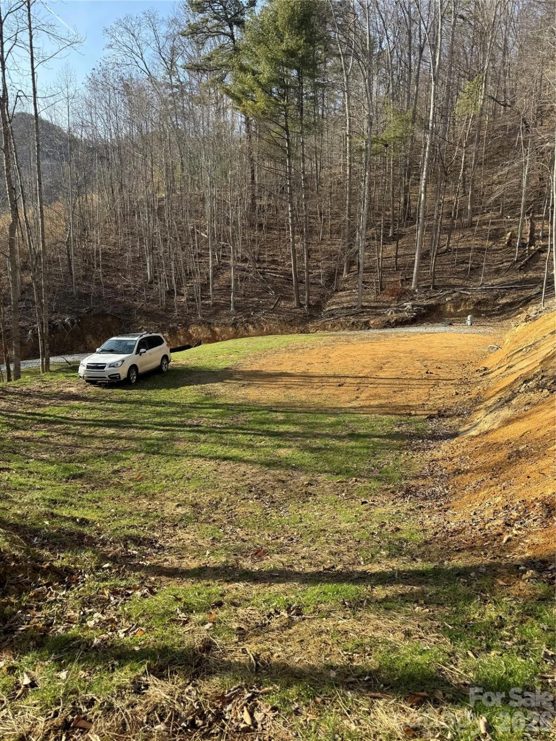 890 Fisher Branch Road - Photo 19