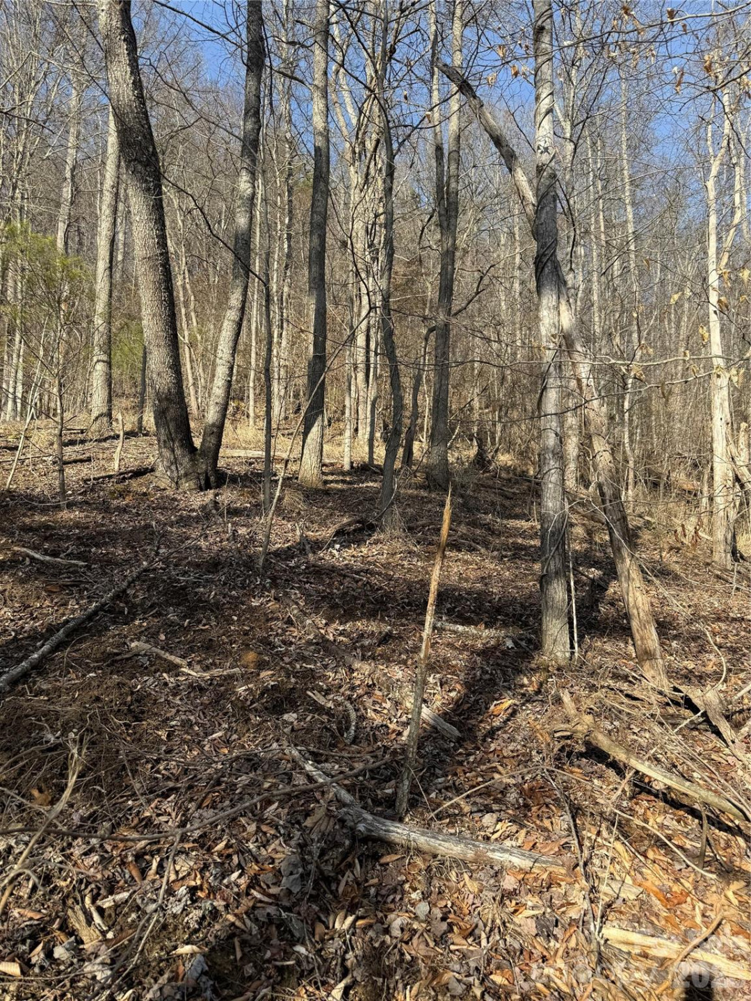 890 Fisher Branch Road - Photo 20