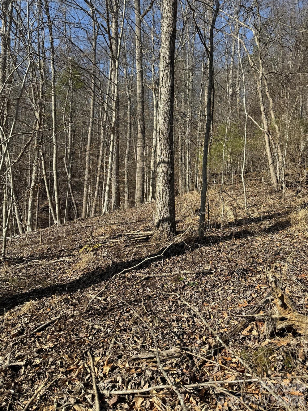 890 Fisher Branch Road - Photo 21