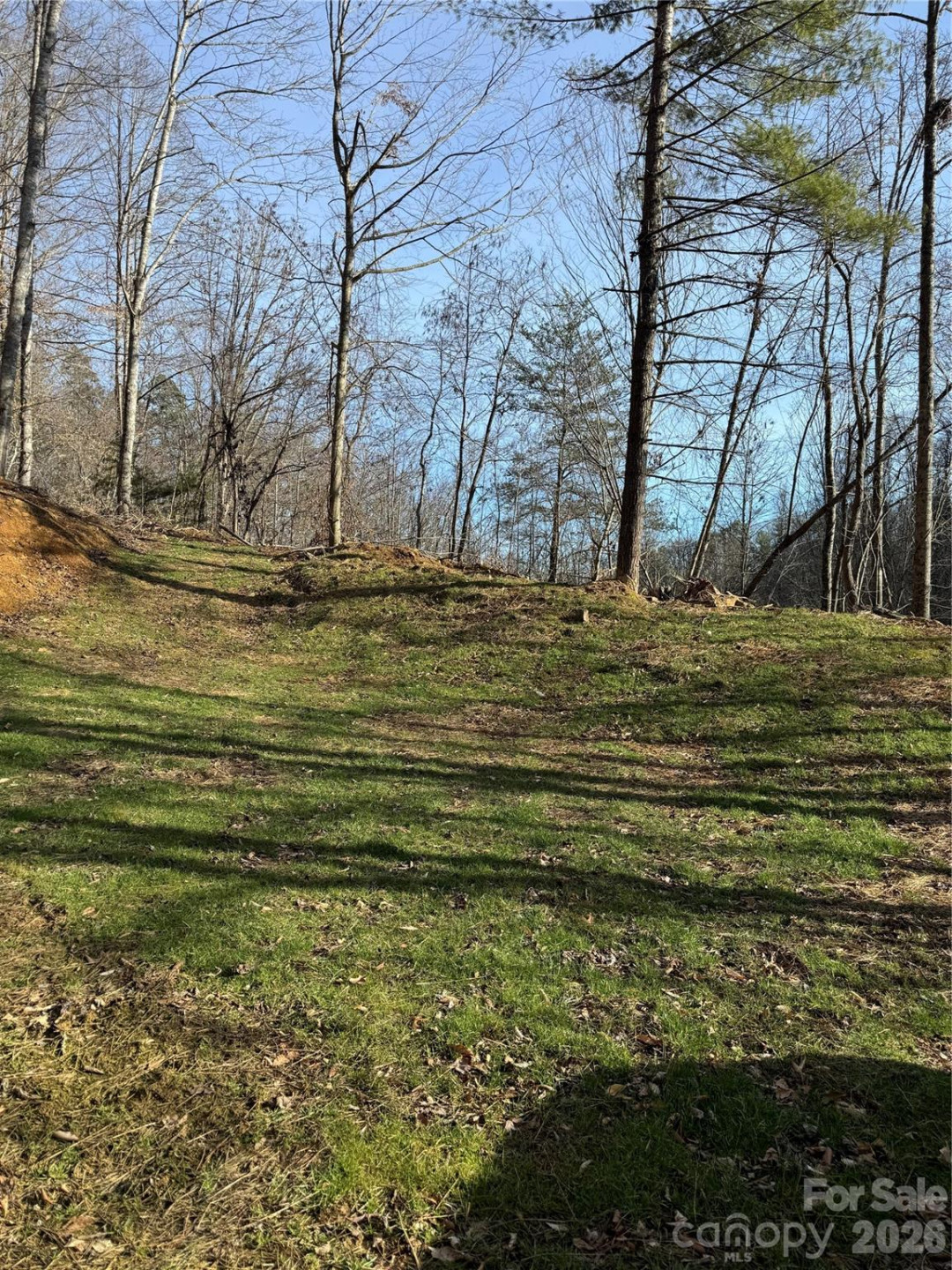 890 Fisher Branch Road - Photo 22