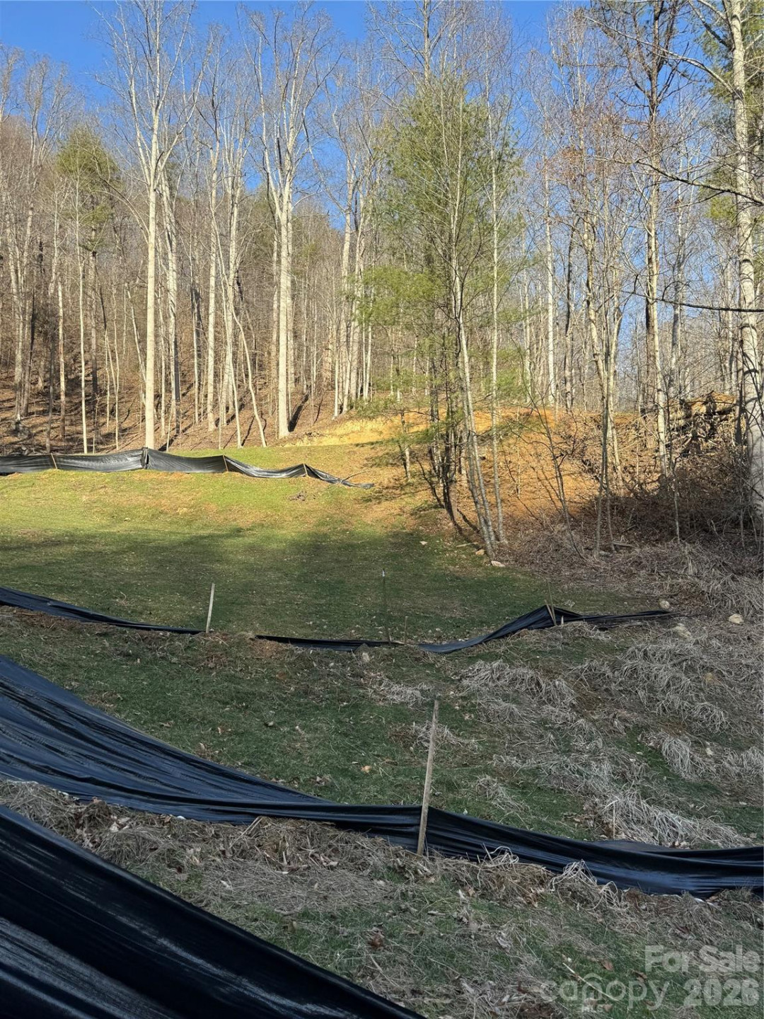 890 Fisher Branch Road - Photo 4