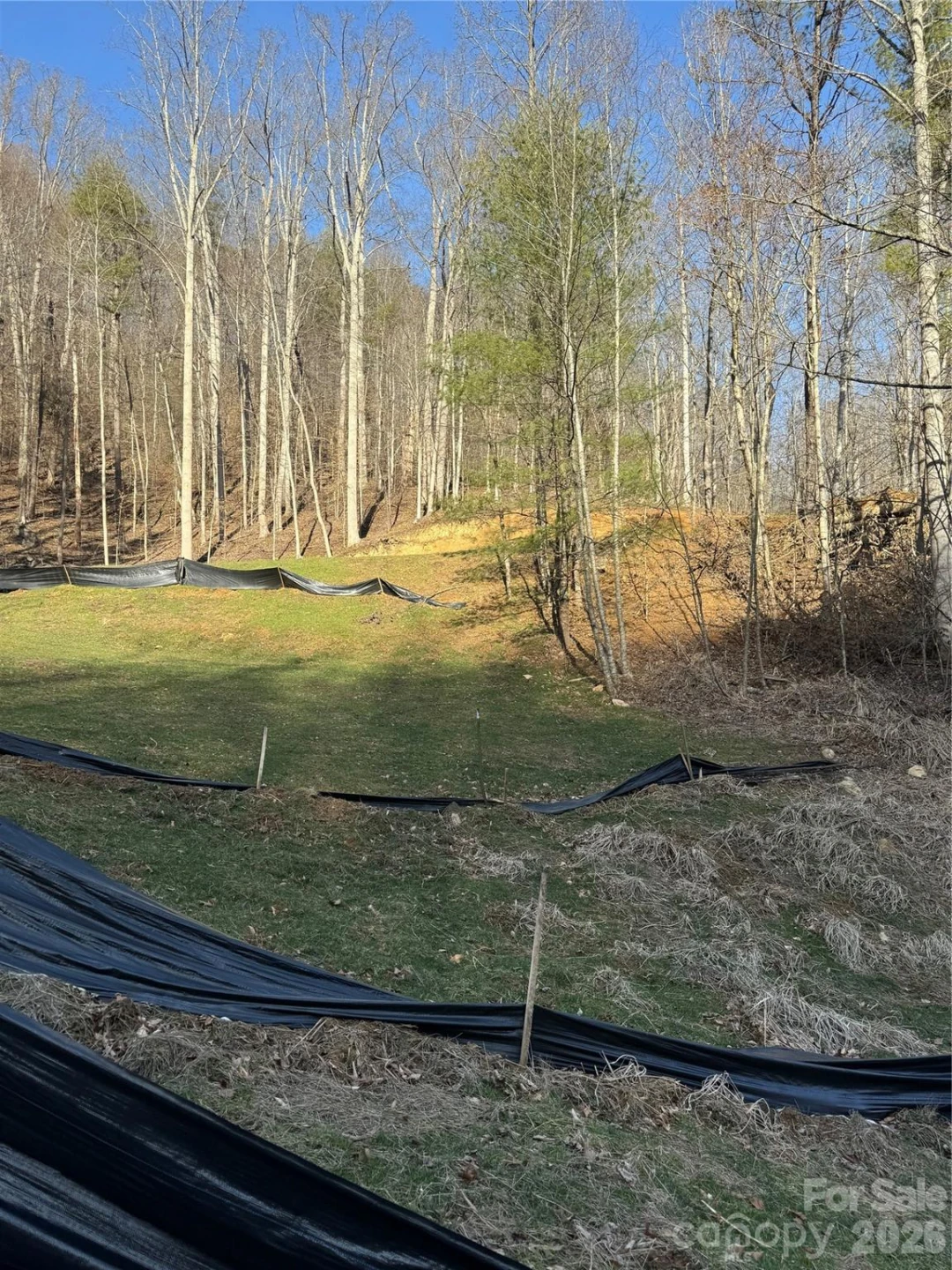 890 Fisher Branch Road - Photo 4