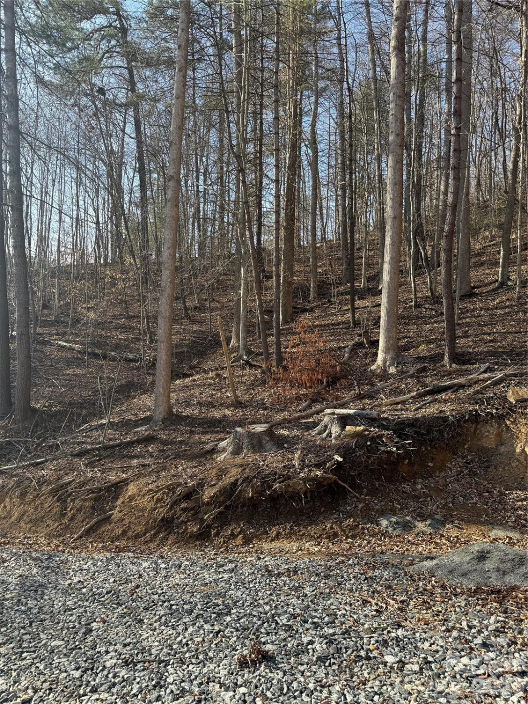 890 Fisher Branch Road - Photo 5