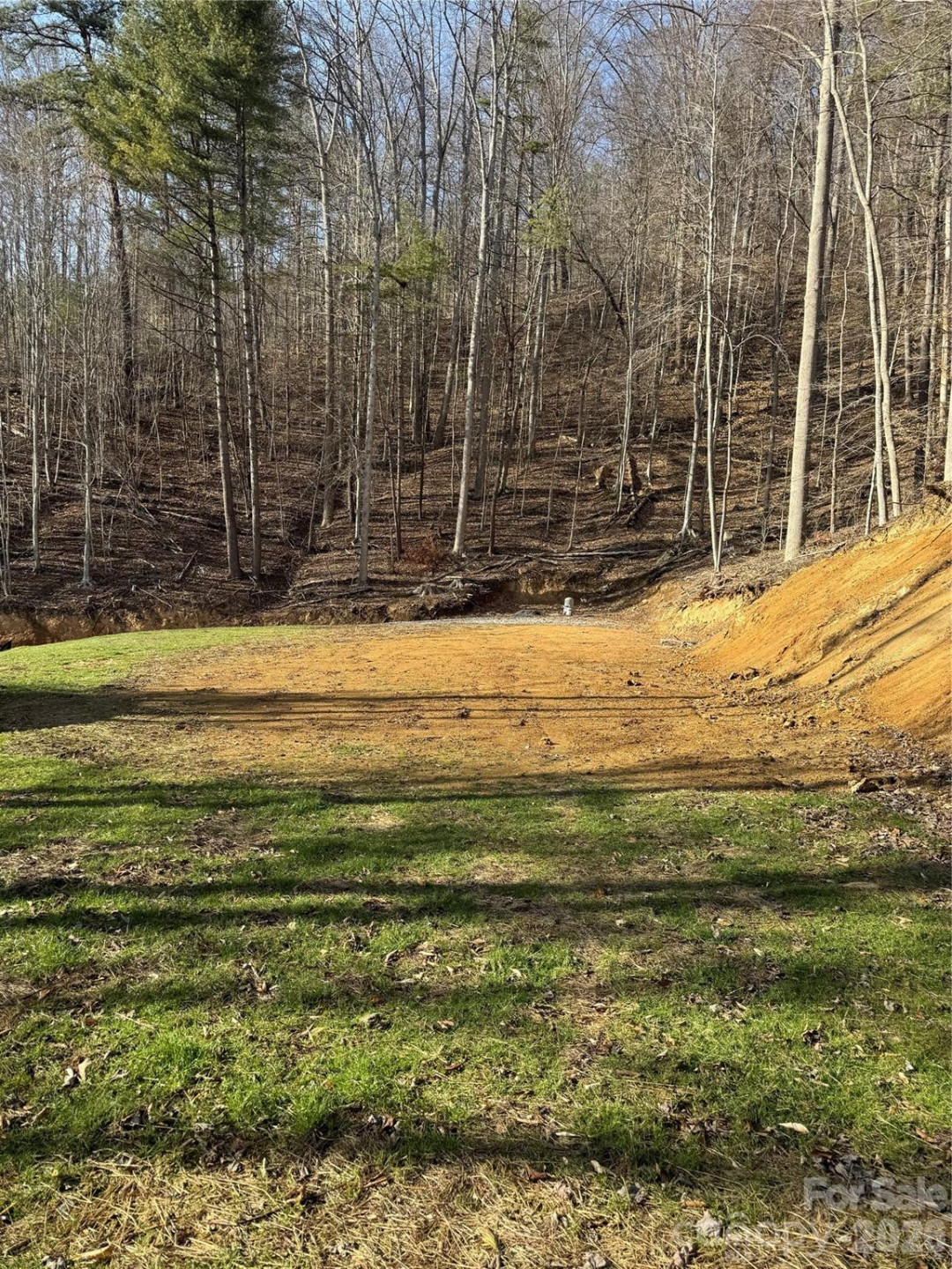 890 Fisher Branch Road - Photo 9