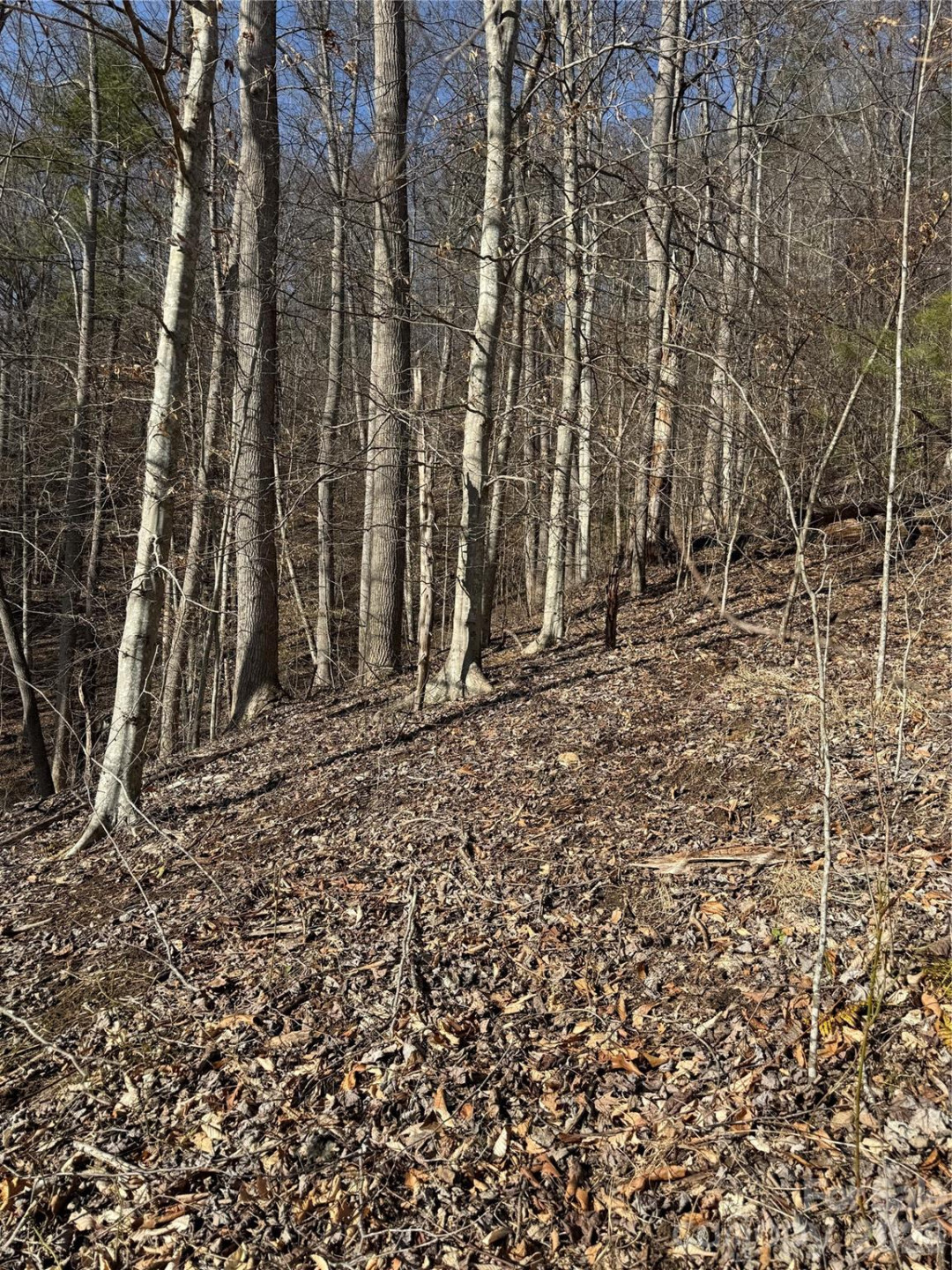 890 Fisher Branch Road - Photo 10