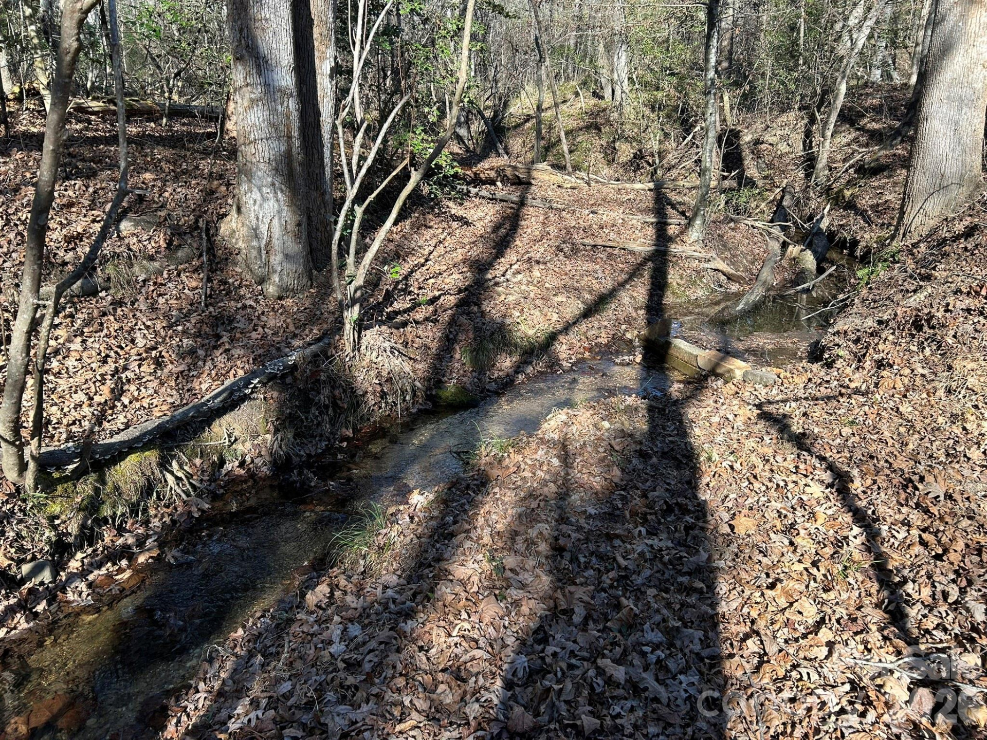 00 Island Ford Road - Photo 3