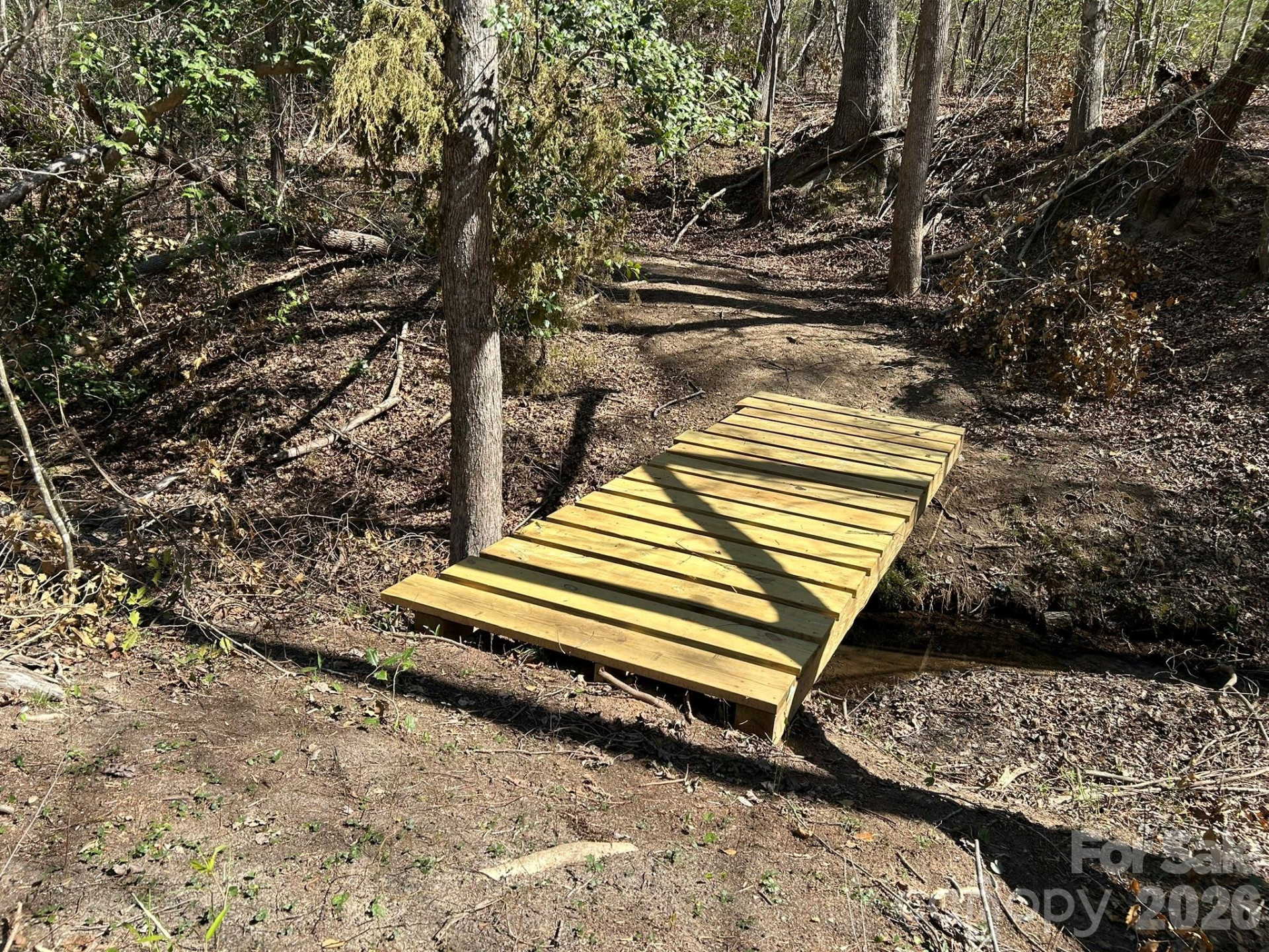 00 Island Ford Road - Photo 19