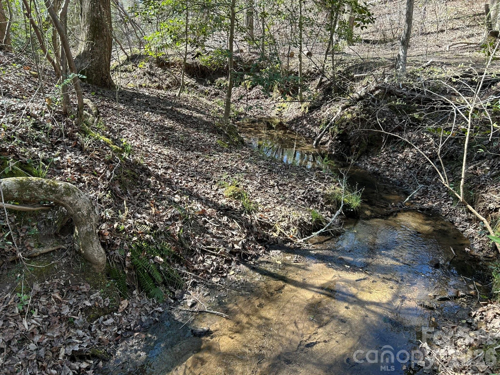 00 Island Ford Road - Photo 12