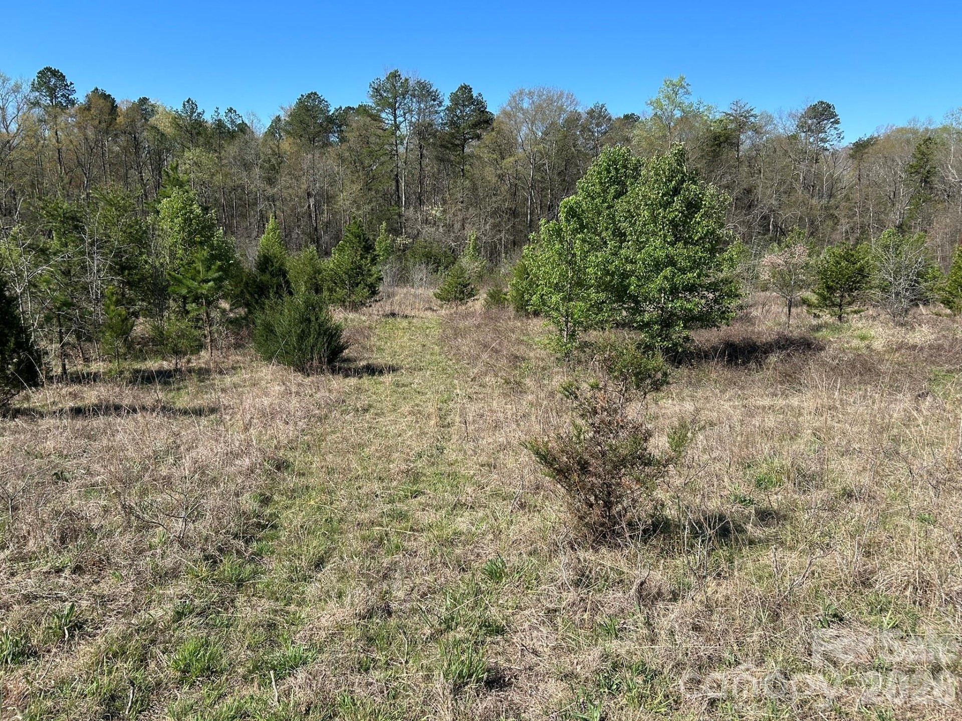 00 Island Ford Road - Photo 22