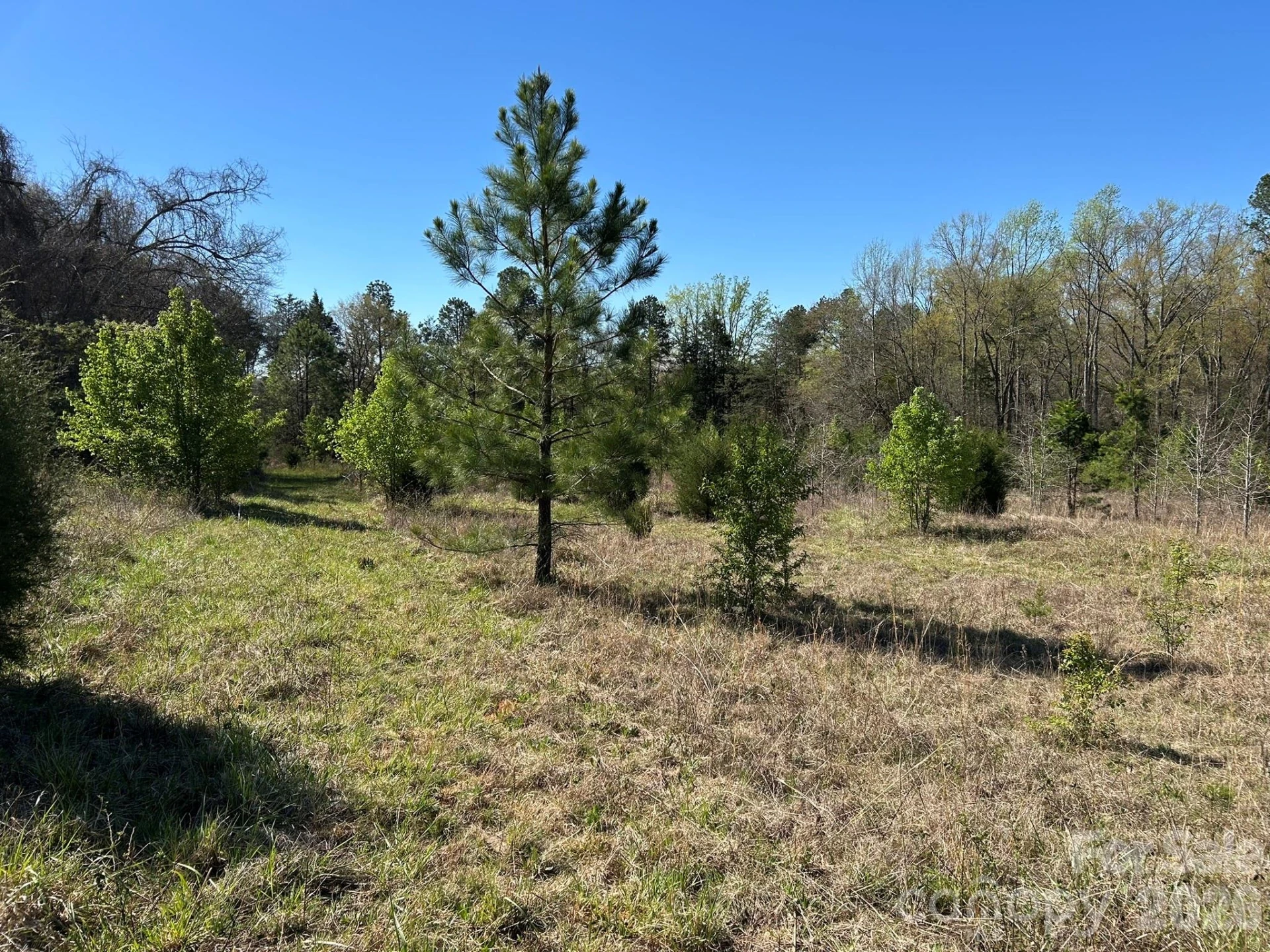 00 Island Ford Road - Photo 14