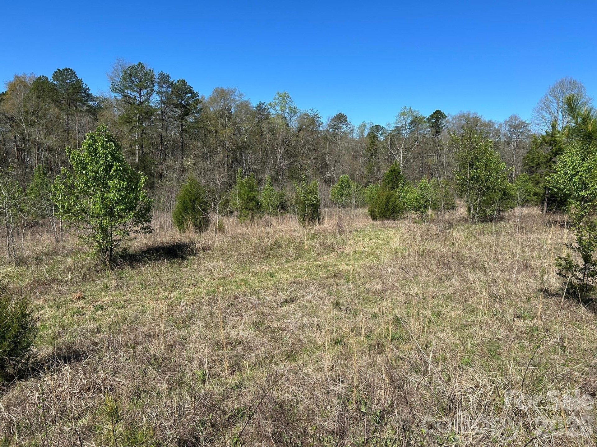 00 Island Ford Road - Photo 24