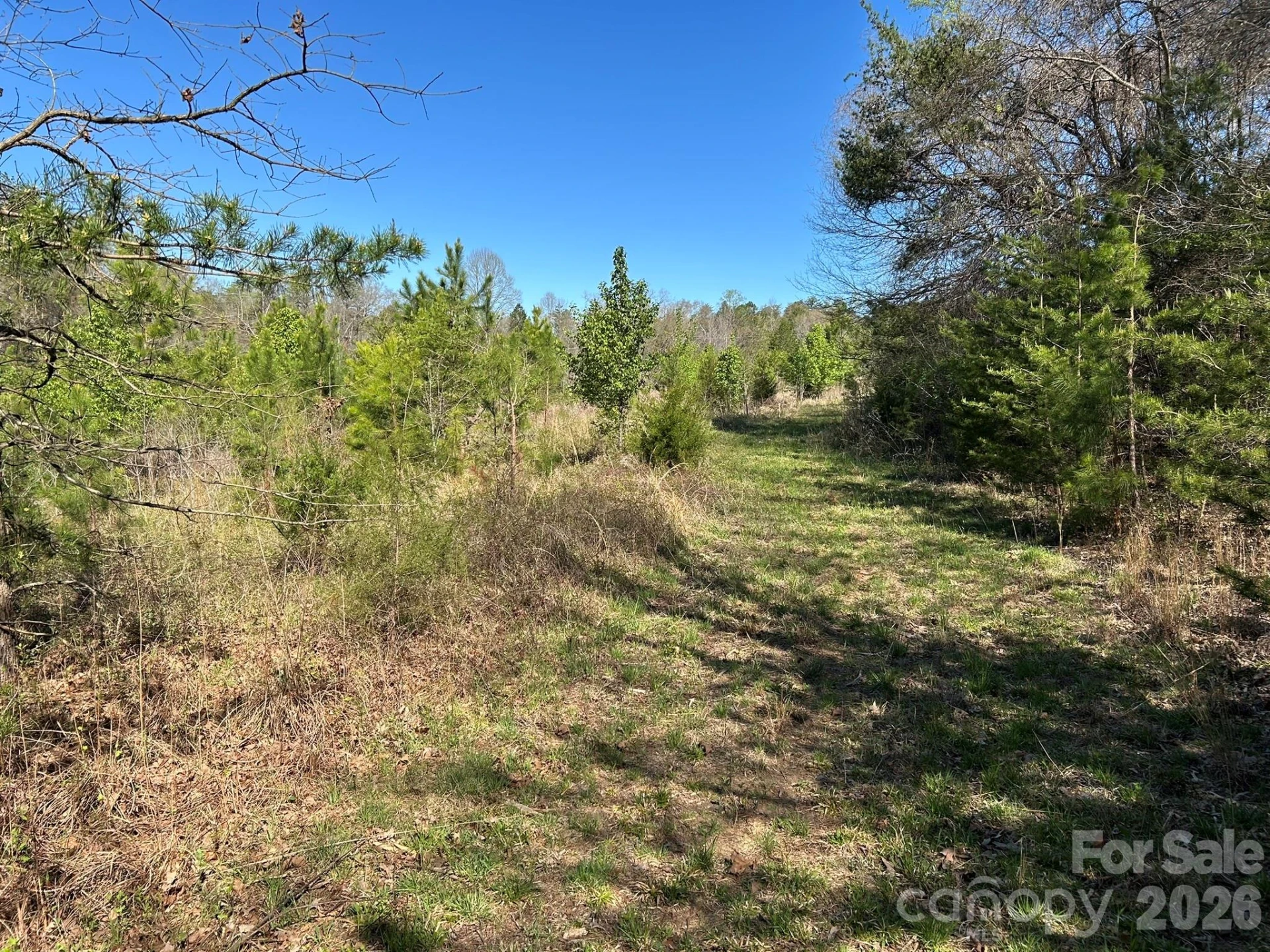 00 Island Ford Road - Photo 16