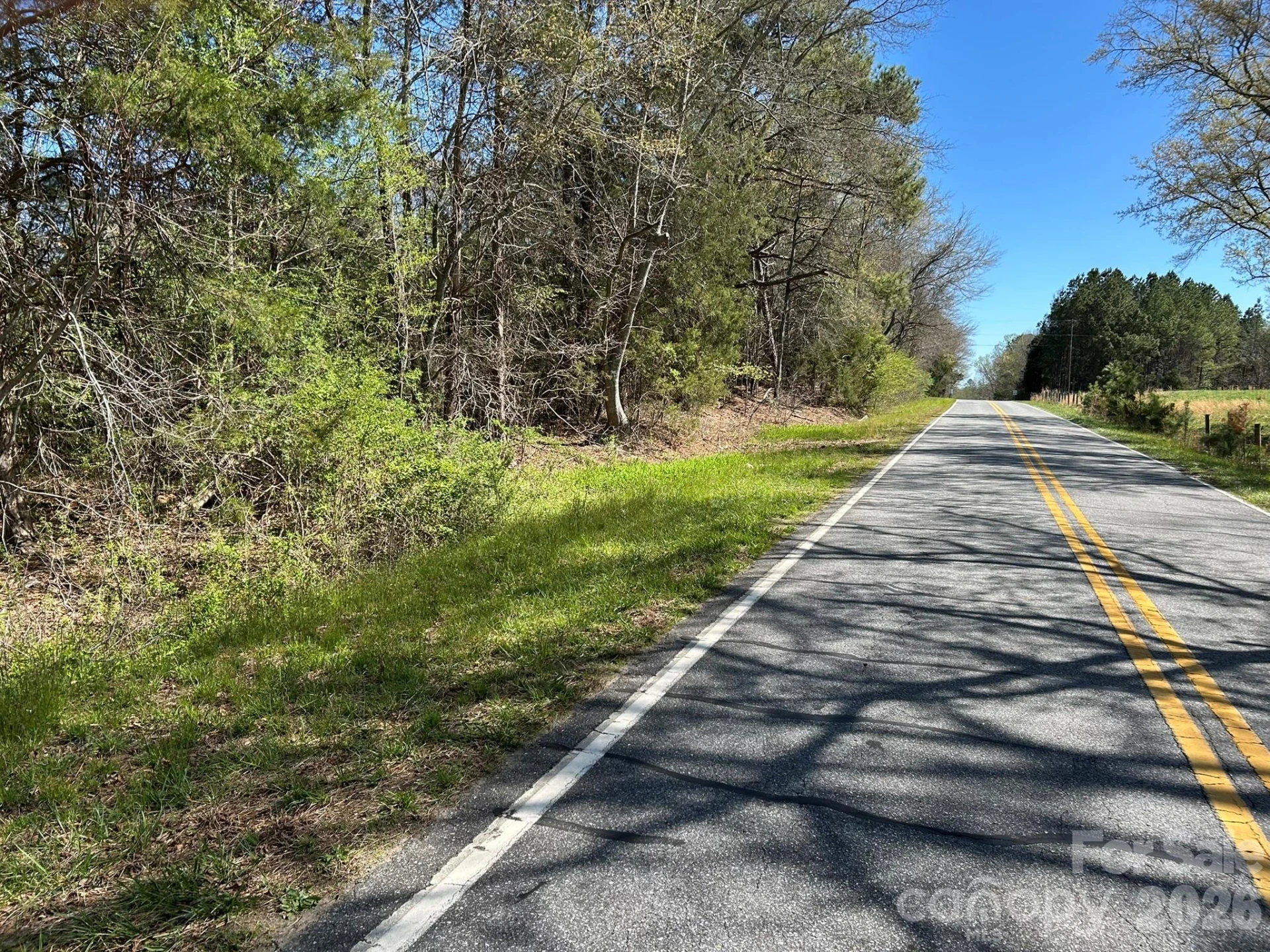 00 Island Ford Road - Photo 17