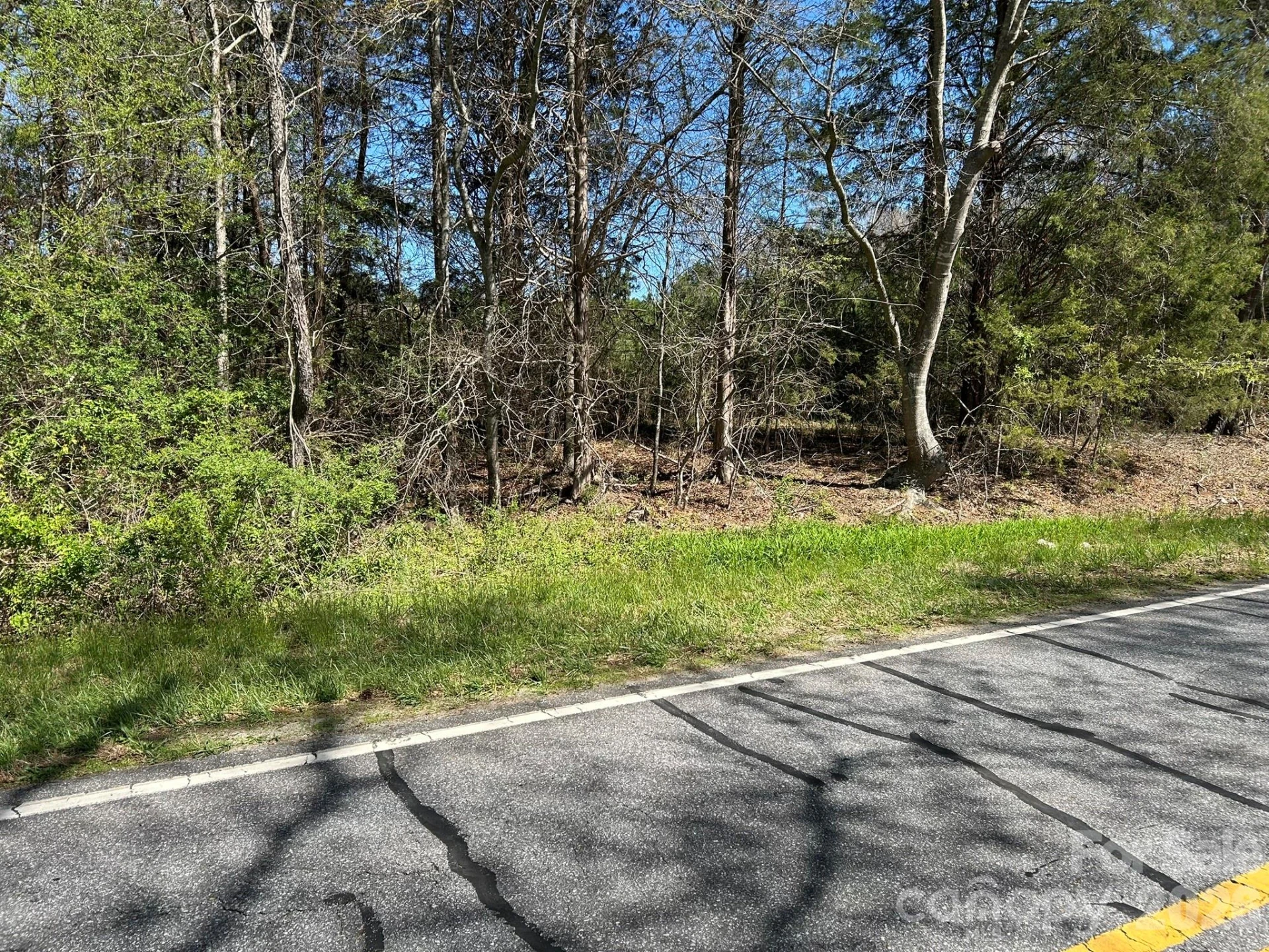 00 Island Ford Road - Photo 18