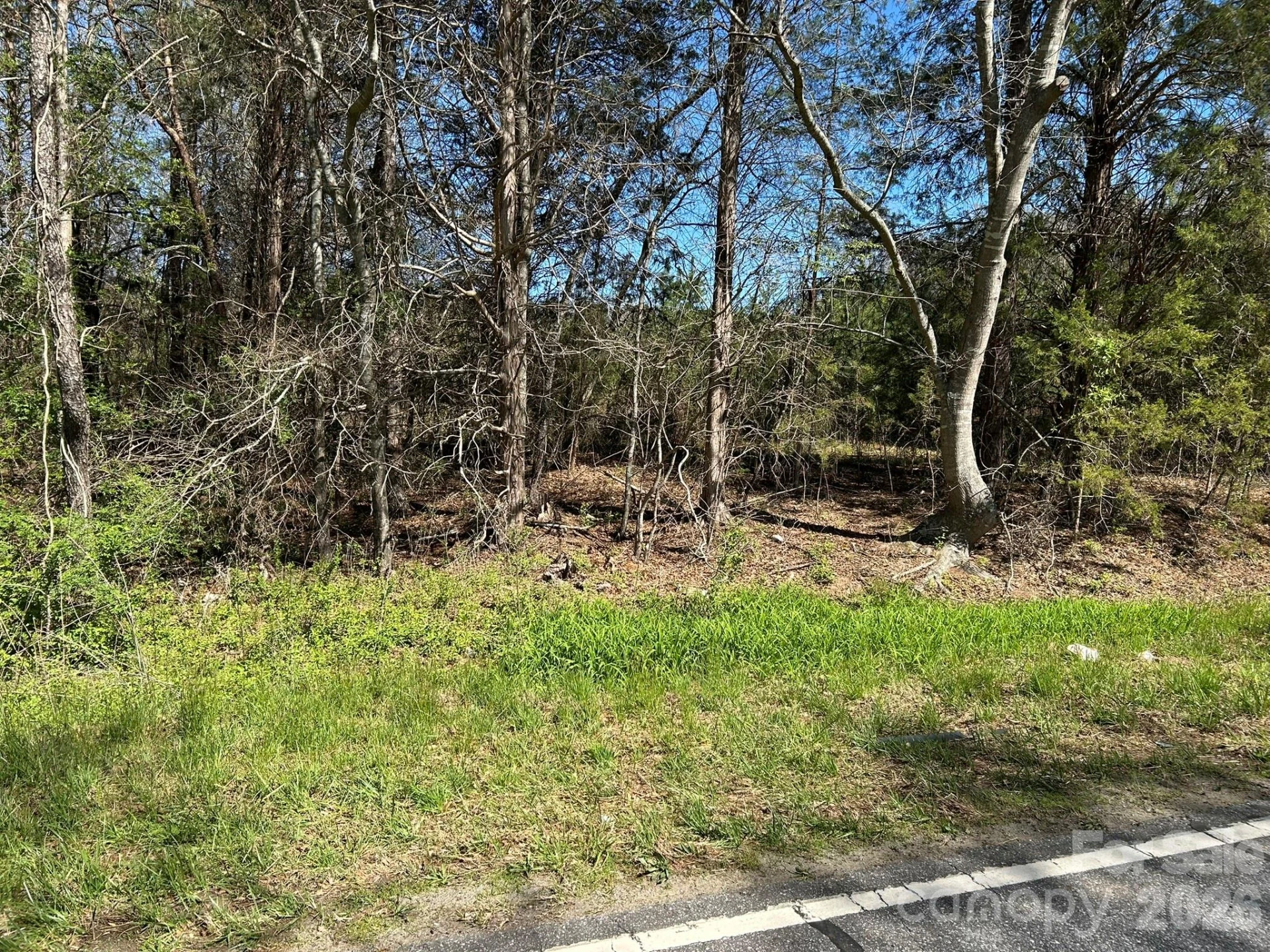00 Island Ford Road - Photo 19