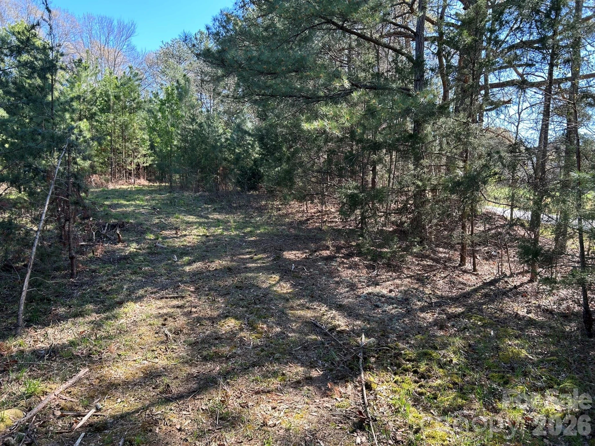 00 Island Ford Road - Photo 20
