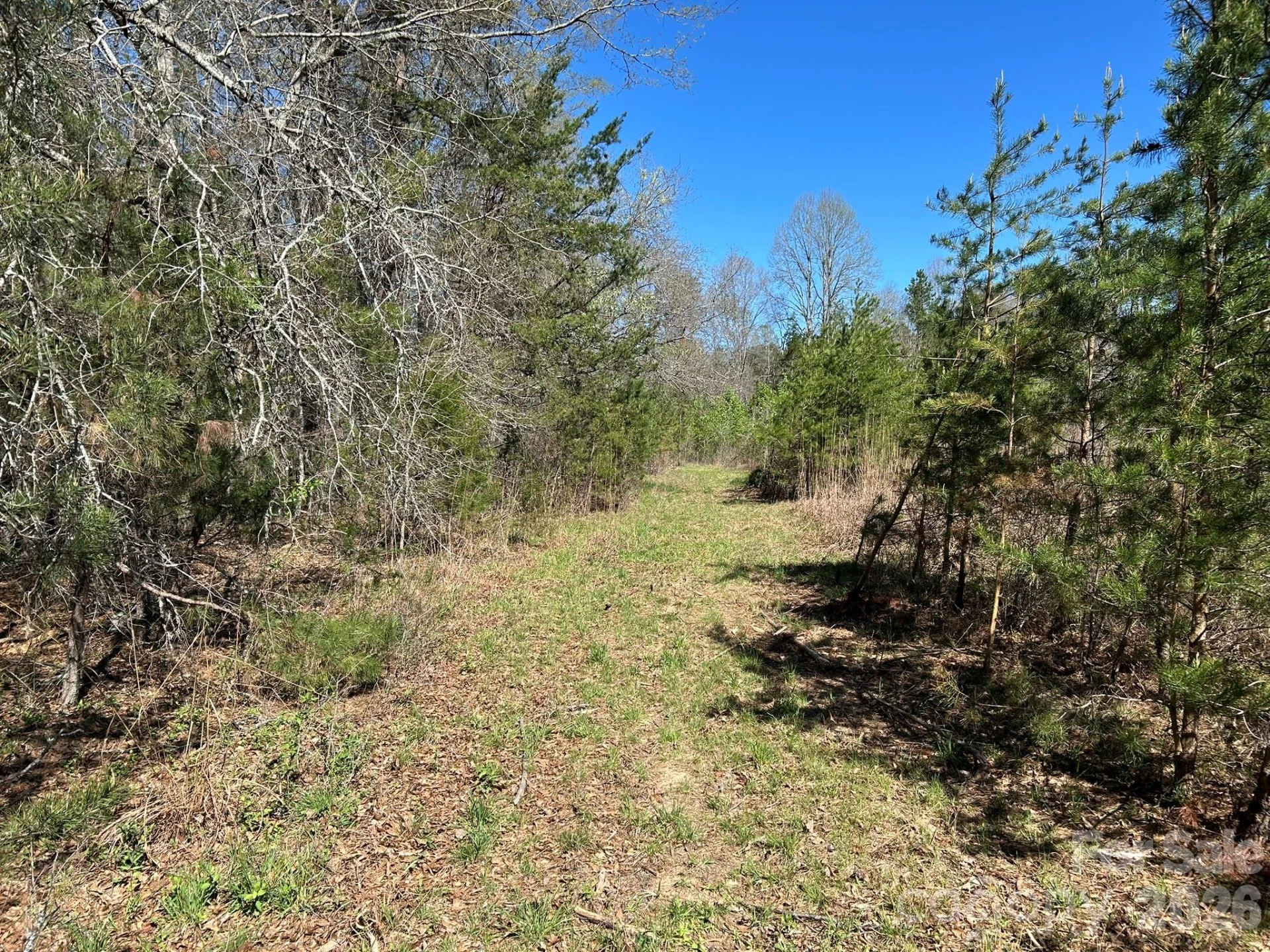 00 Island Ford Road - Photo 21