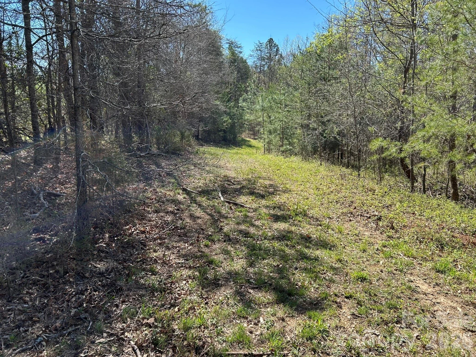 00 Island Ford Road - Photo 22