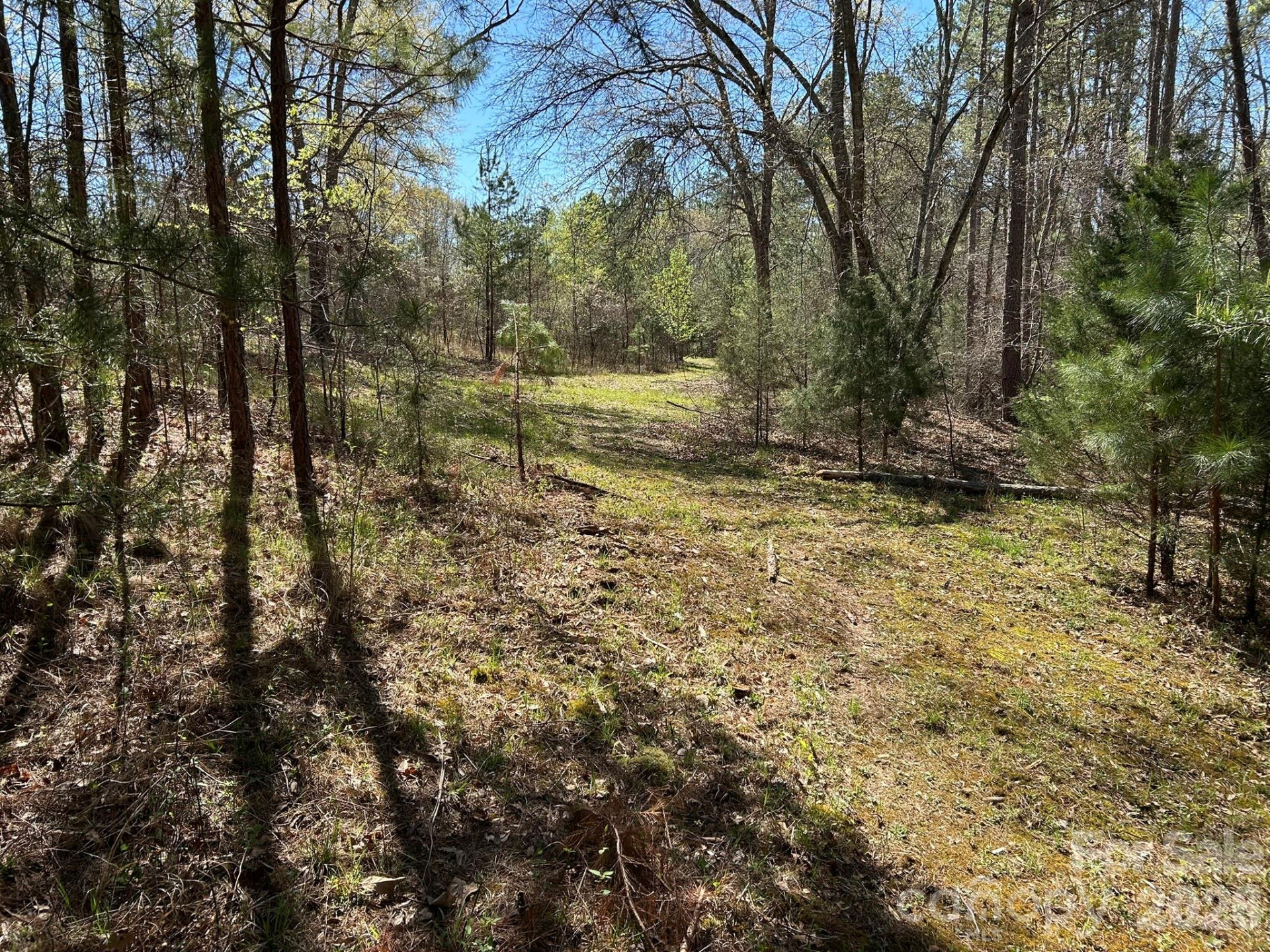 00 Island Ford Road - Photo 32