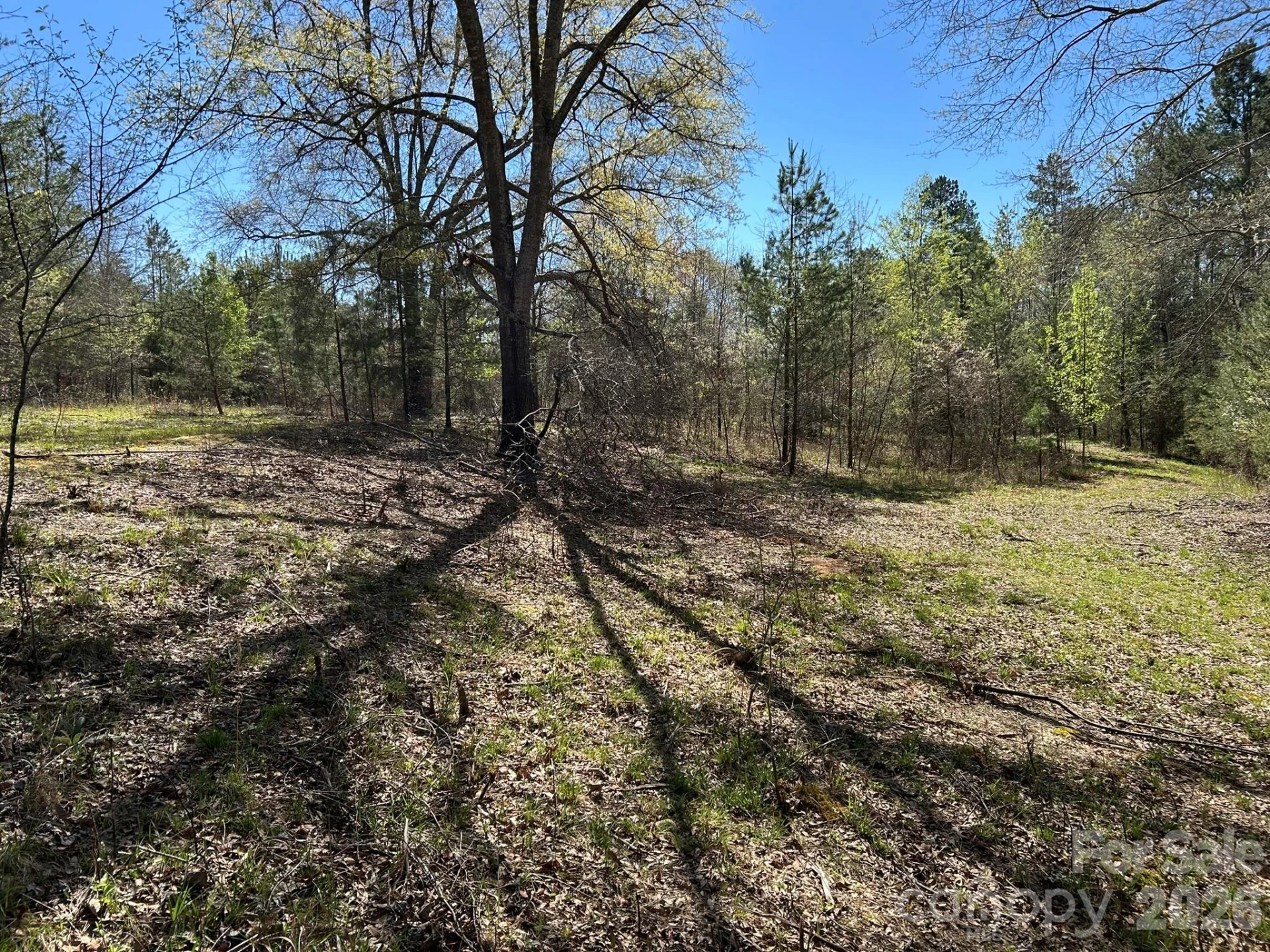 00 Island Ford Road - Photo 24
