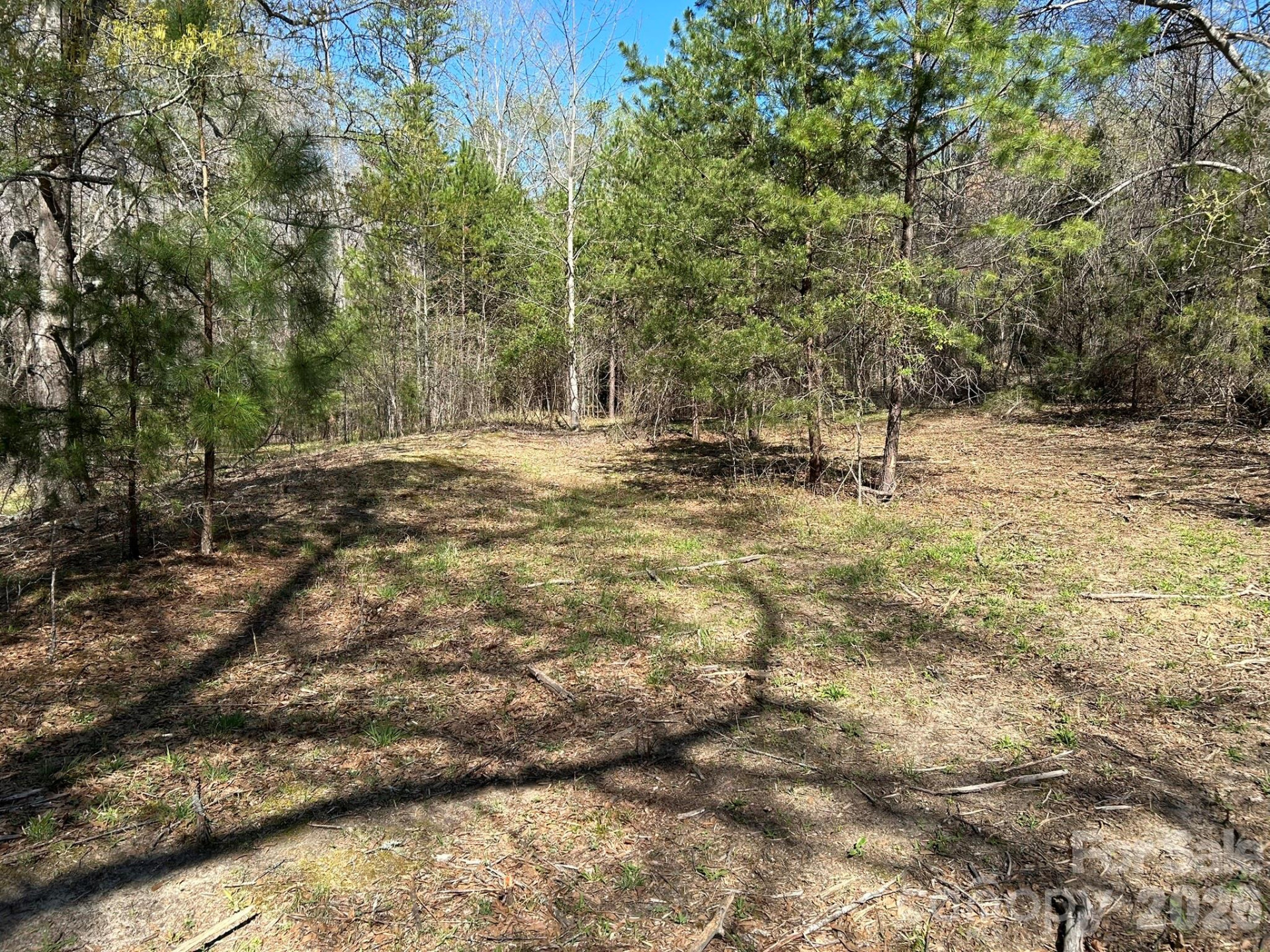 00 Island Ford Road - Photo 34