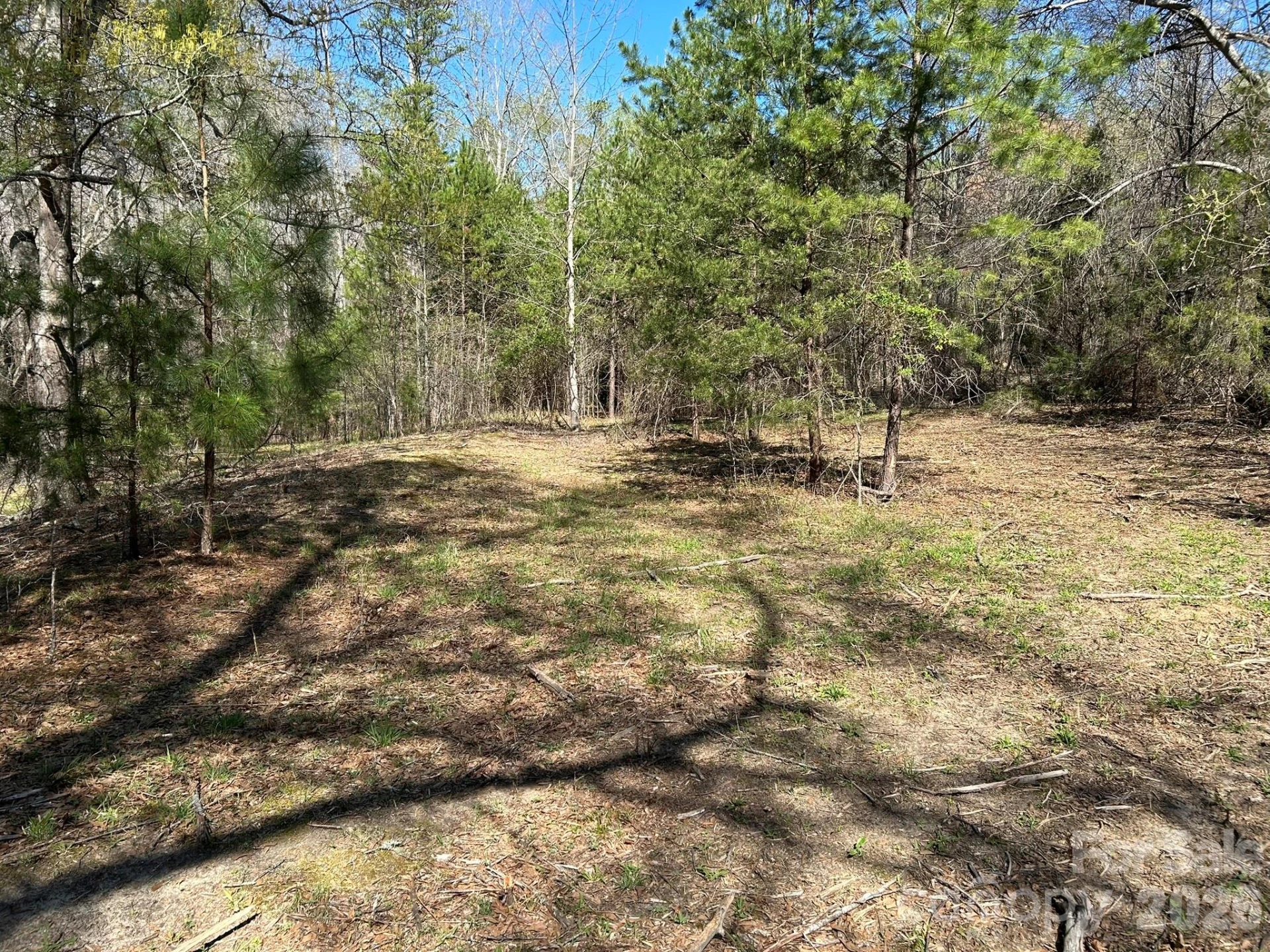 00 Island Ford Road - Photo 25