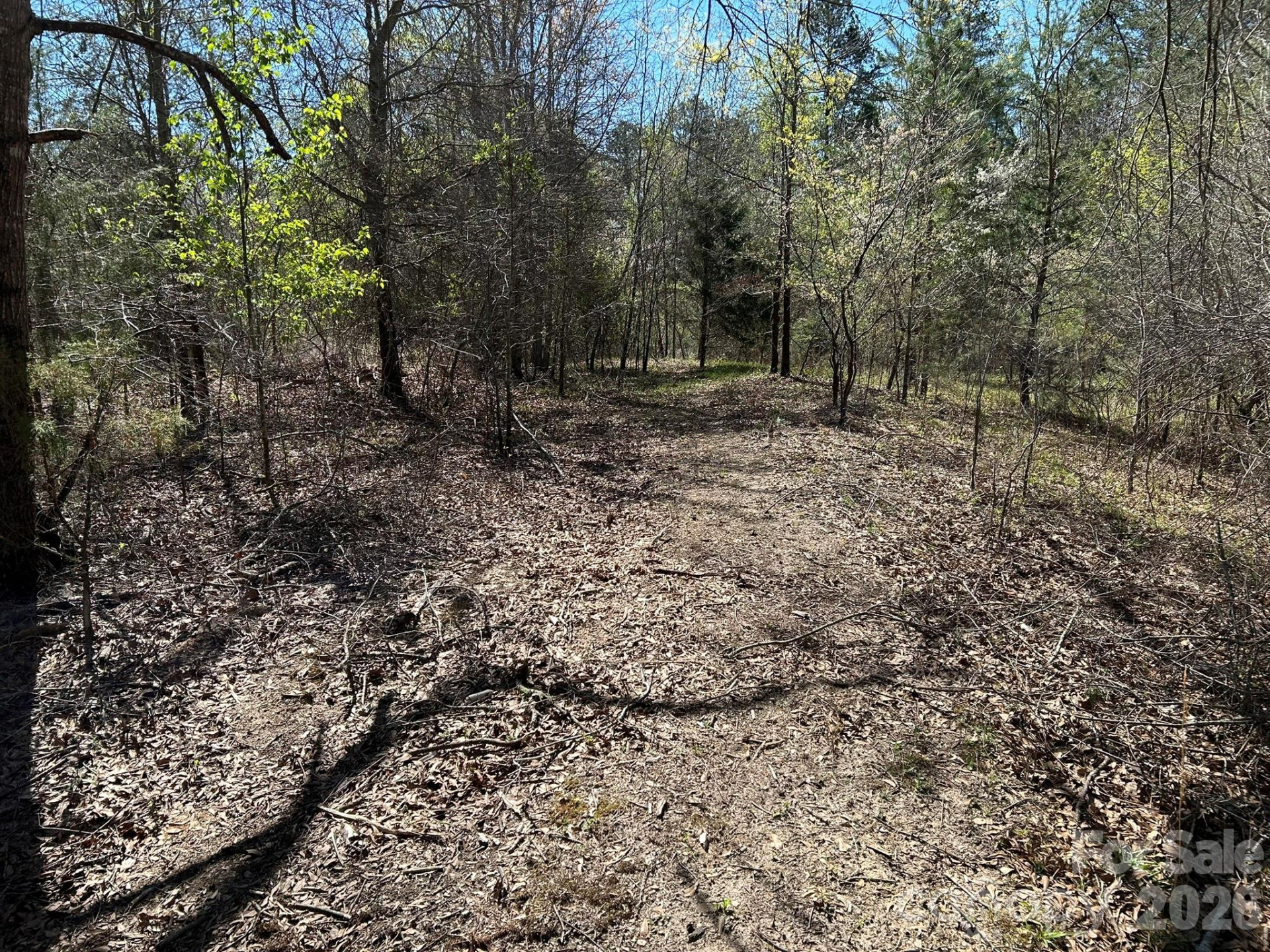 00 Island Ford Road - Photo 35