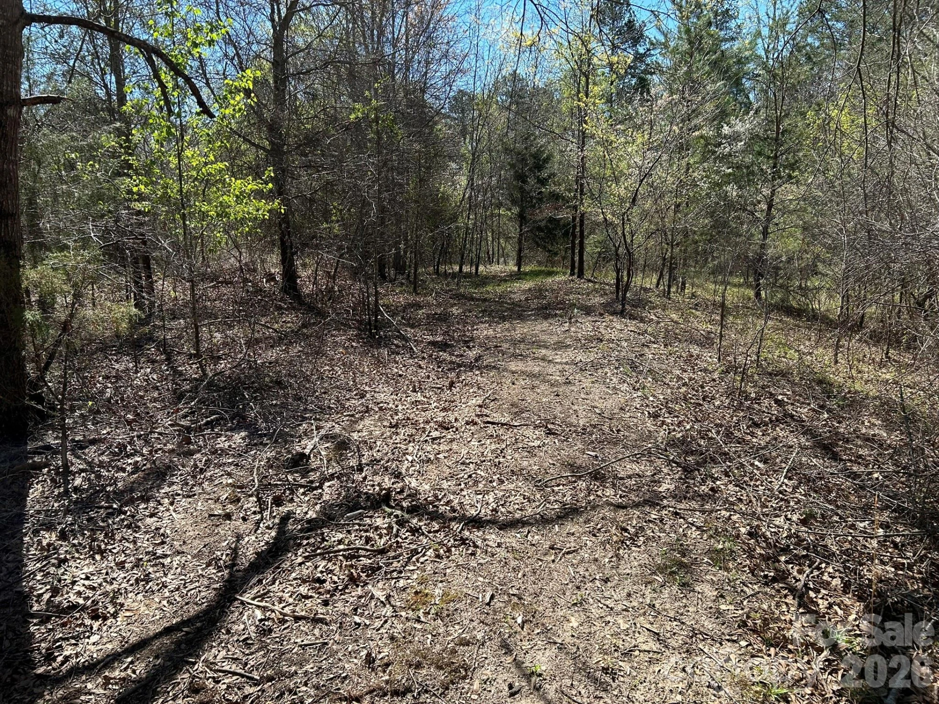 00 Island Ford Road - Photo 26