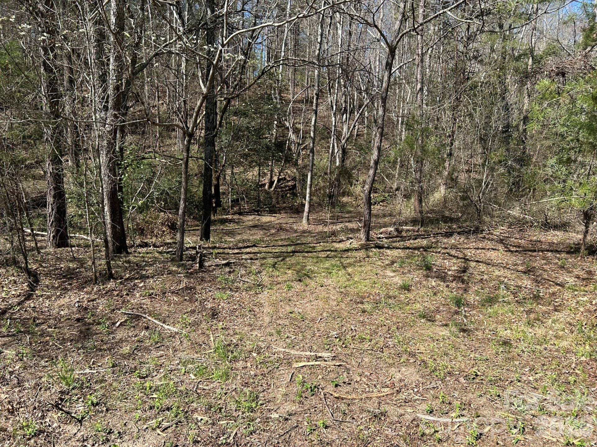 00 Island Ford Road - Photo 36