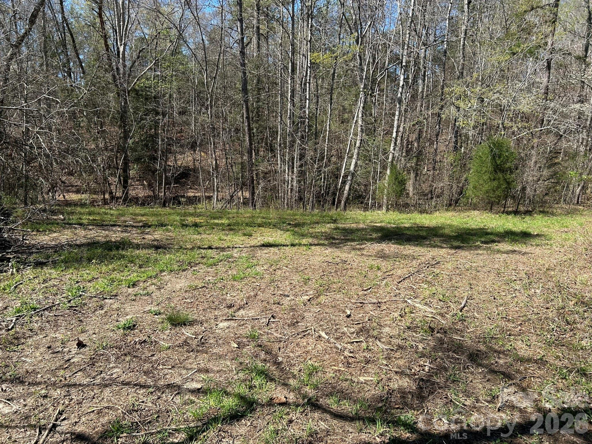 00 Island Ford Road - Photo 37