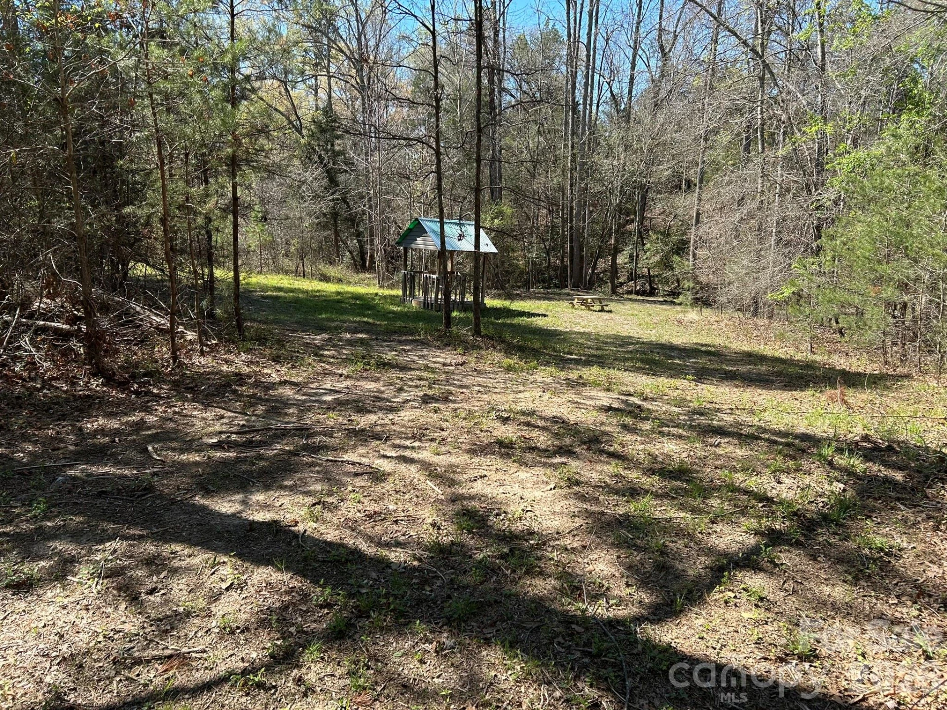 00 Island Ford Road - Photo 29