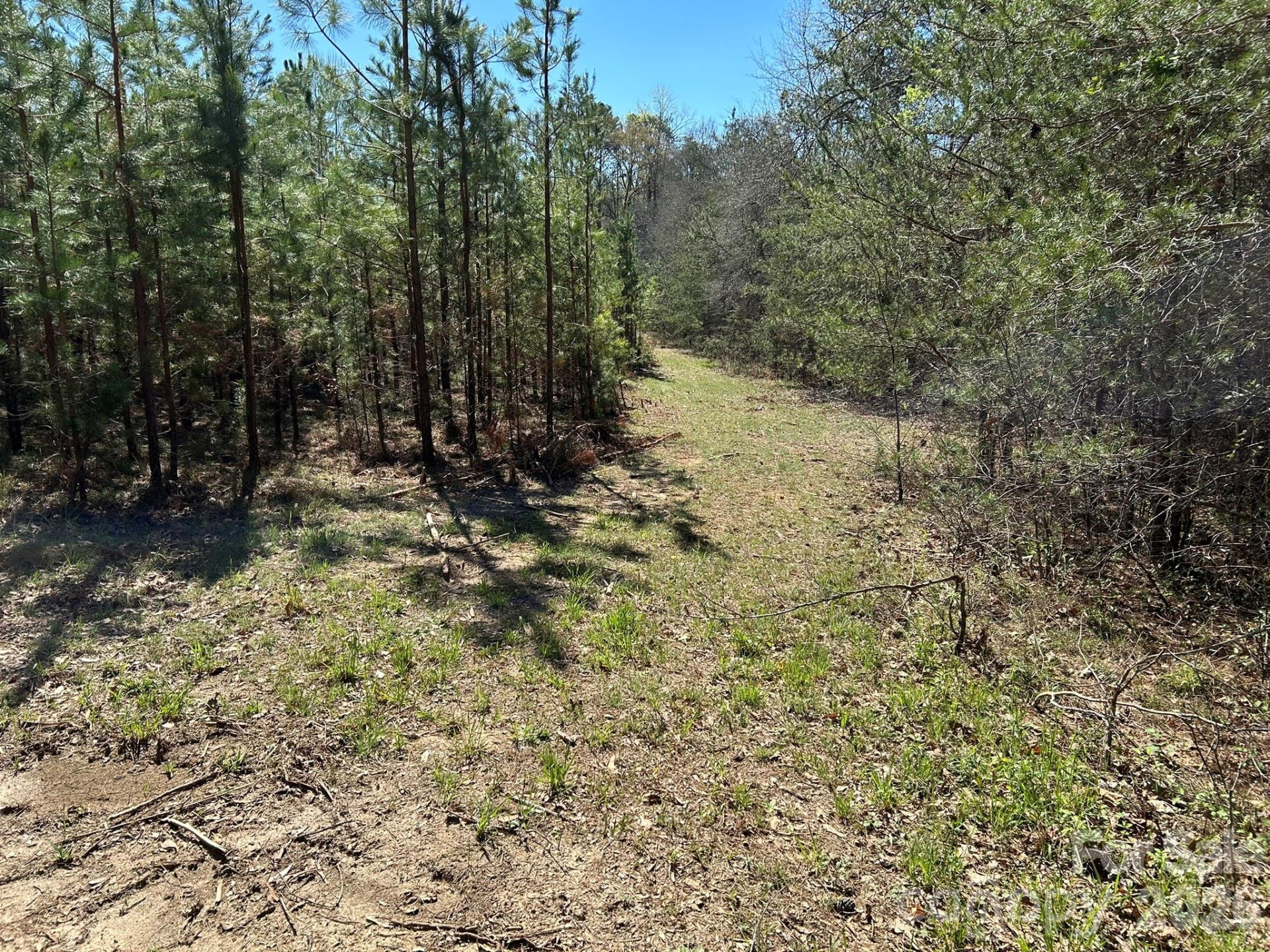 00 Island Ford Road - Photo 39