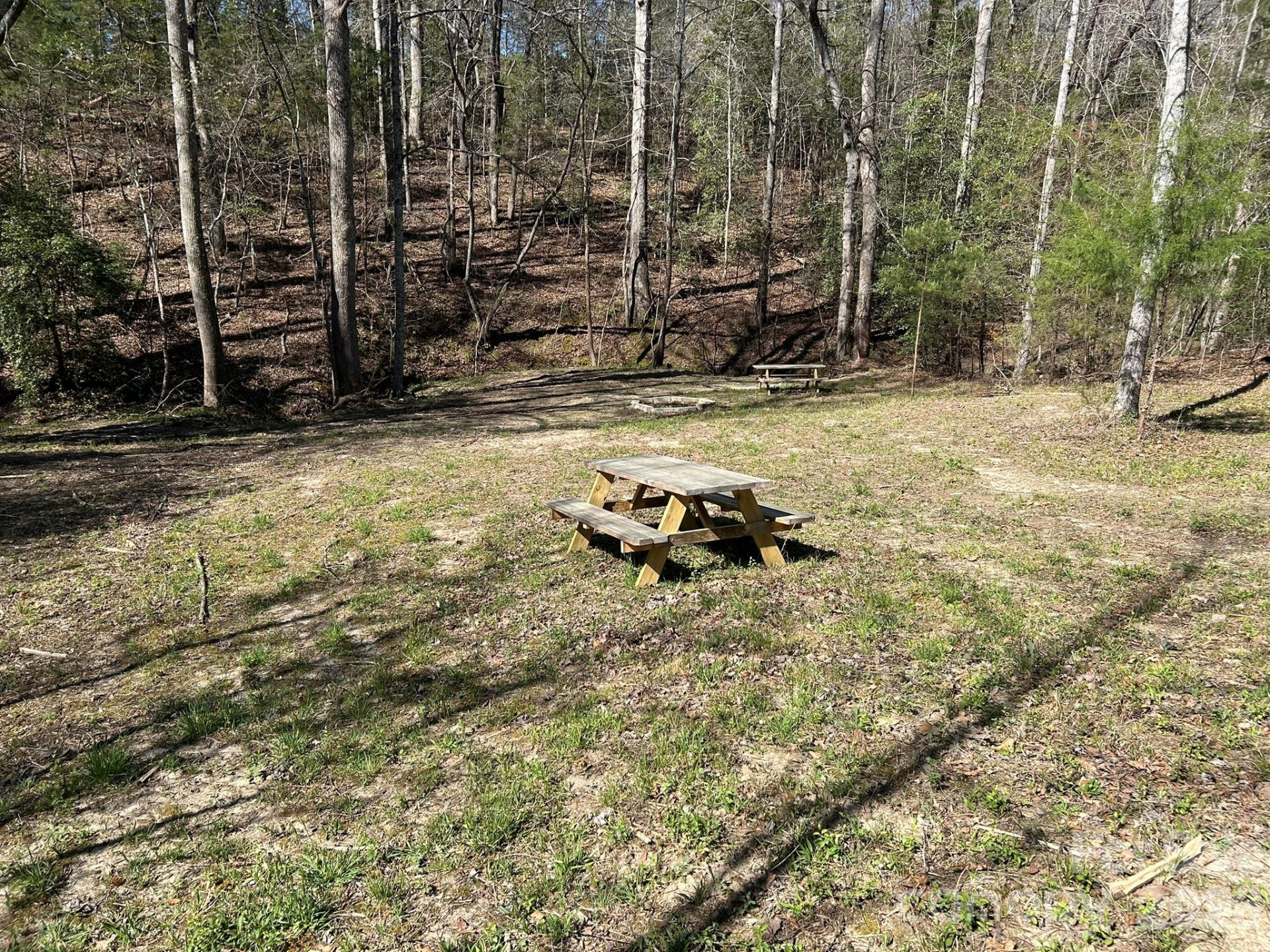 00 Island Ford Road - Photo 6