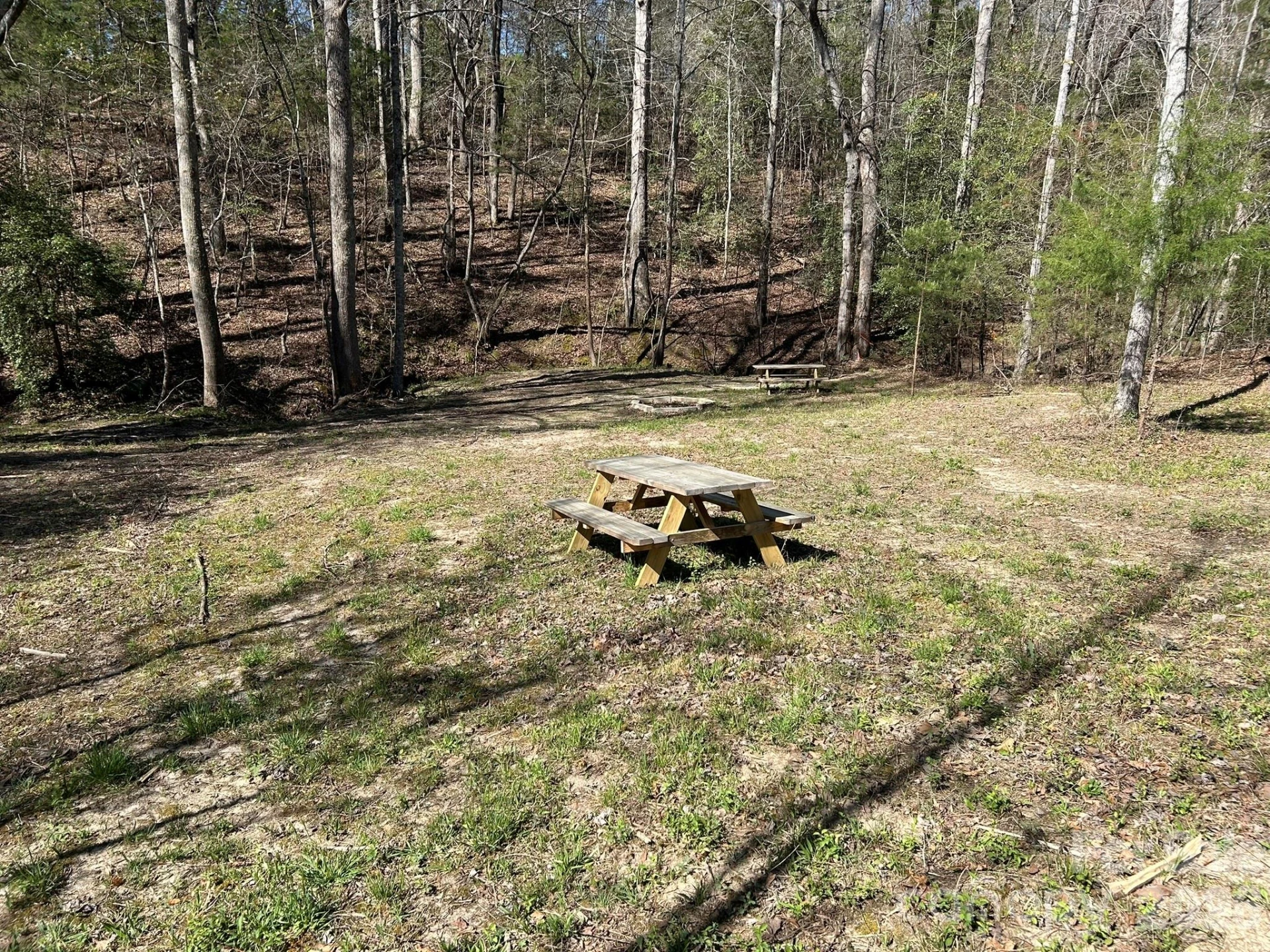 00 Island Ford Road - Photo 6