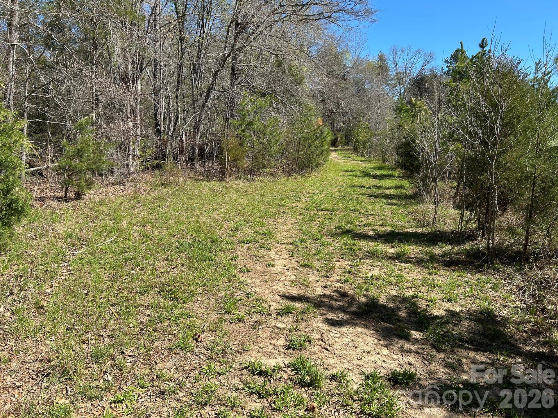 00 Island Ford Road - Photo 40