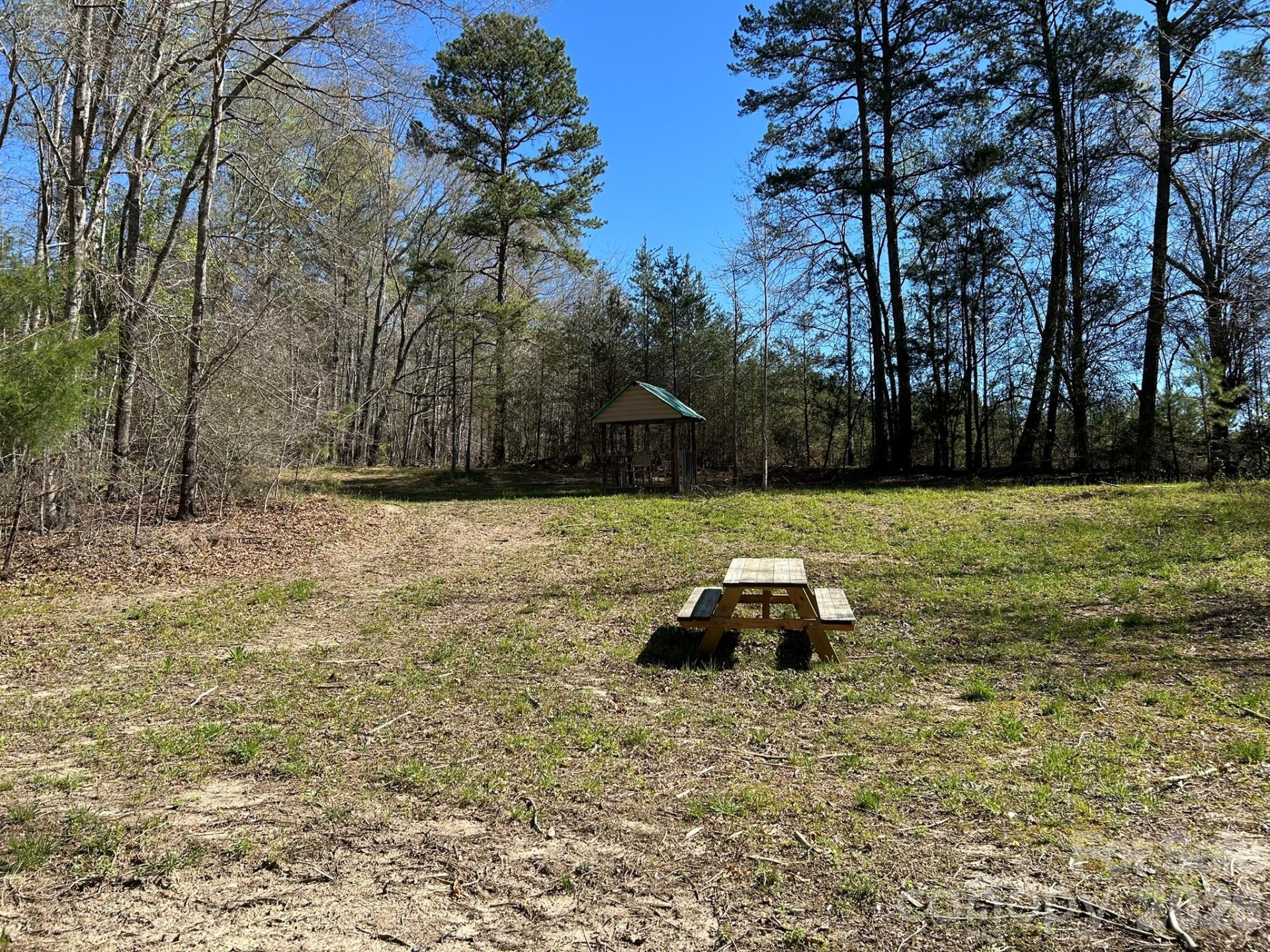 00 Island Ford Road - Photo 8