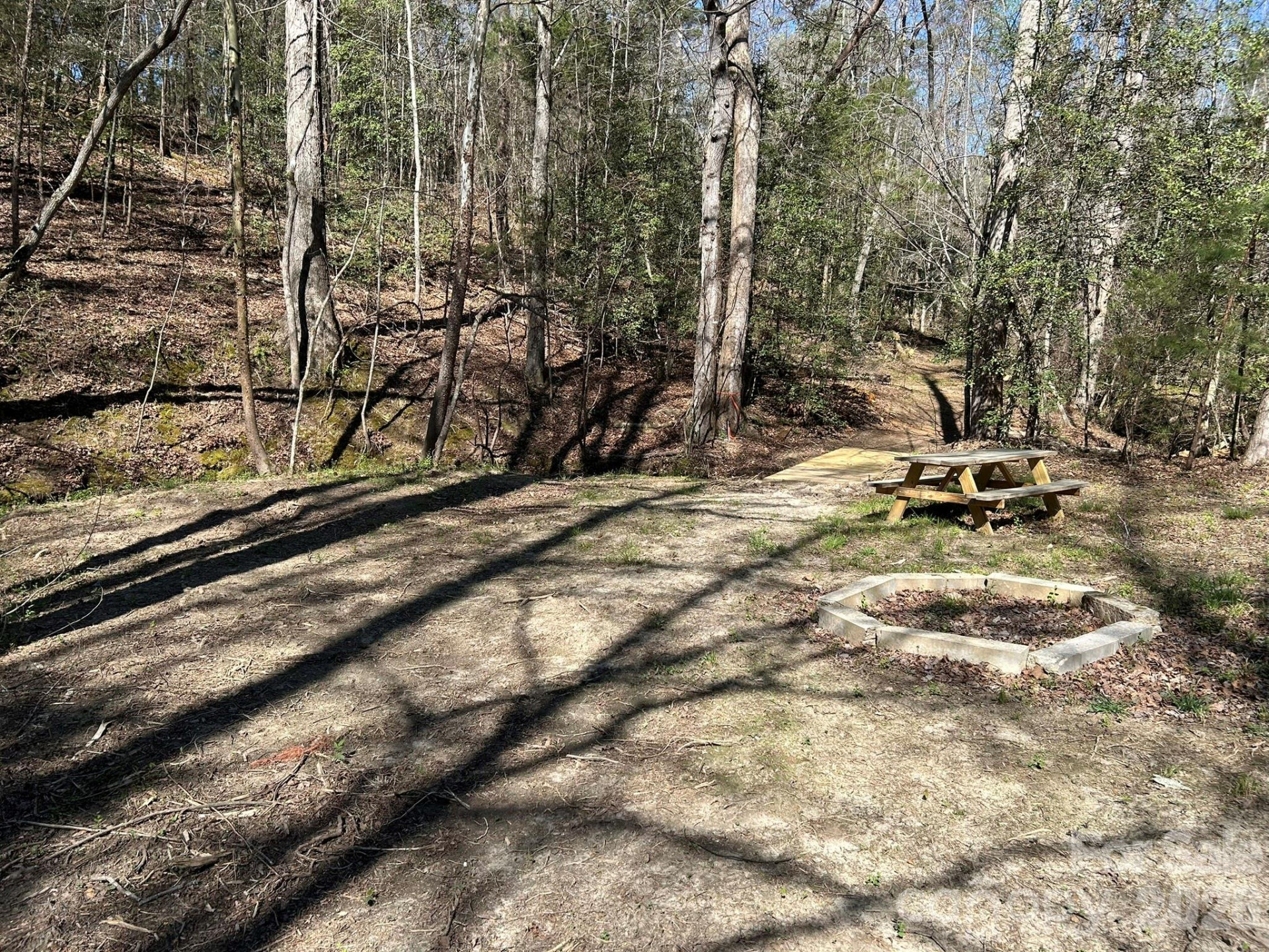 00 Island Ford Road - Photo 10