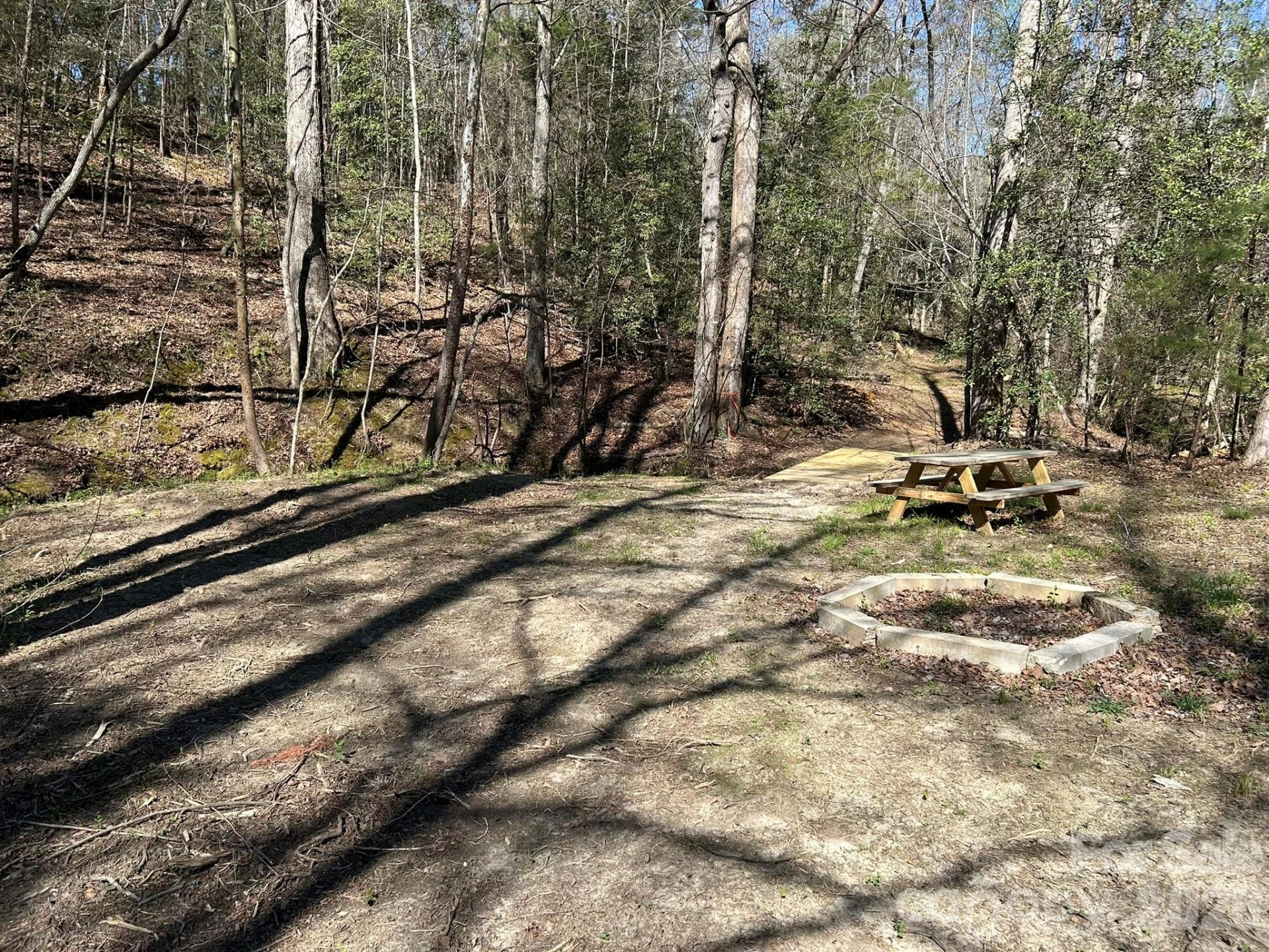 00 Island Ford Road - Photo 10
