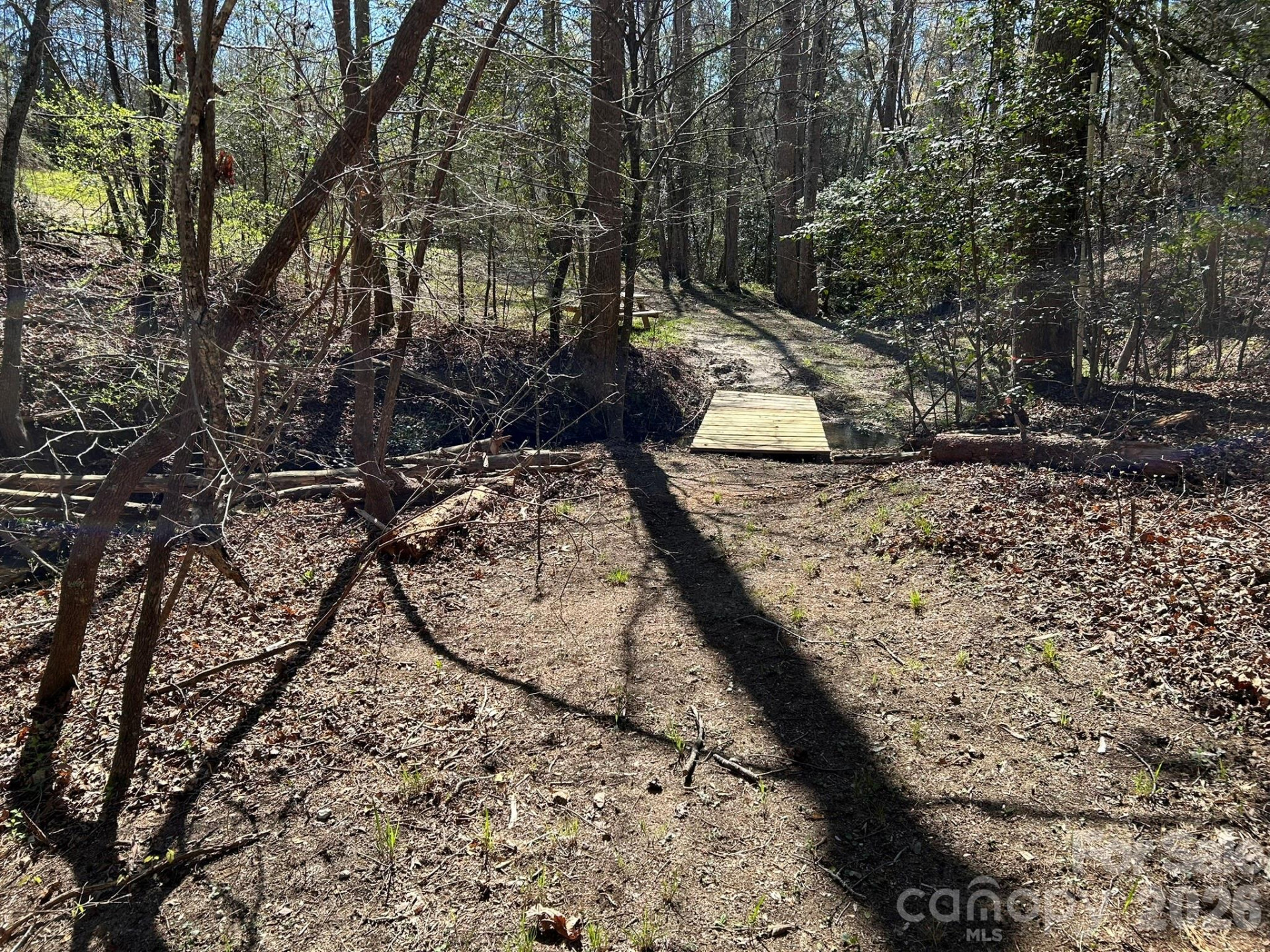 00 Island Ford Road - Photo 13