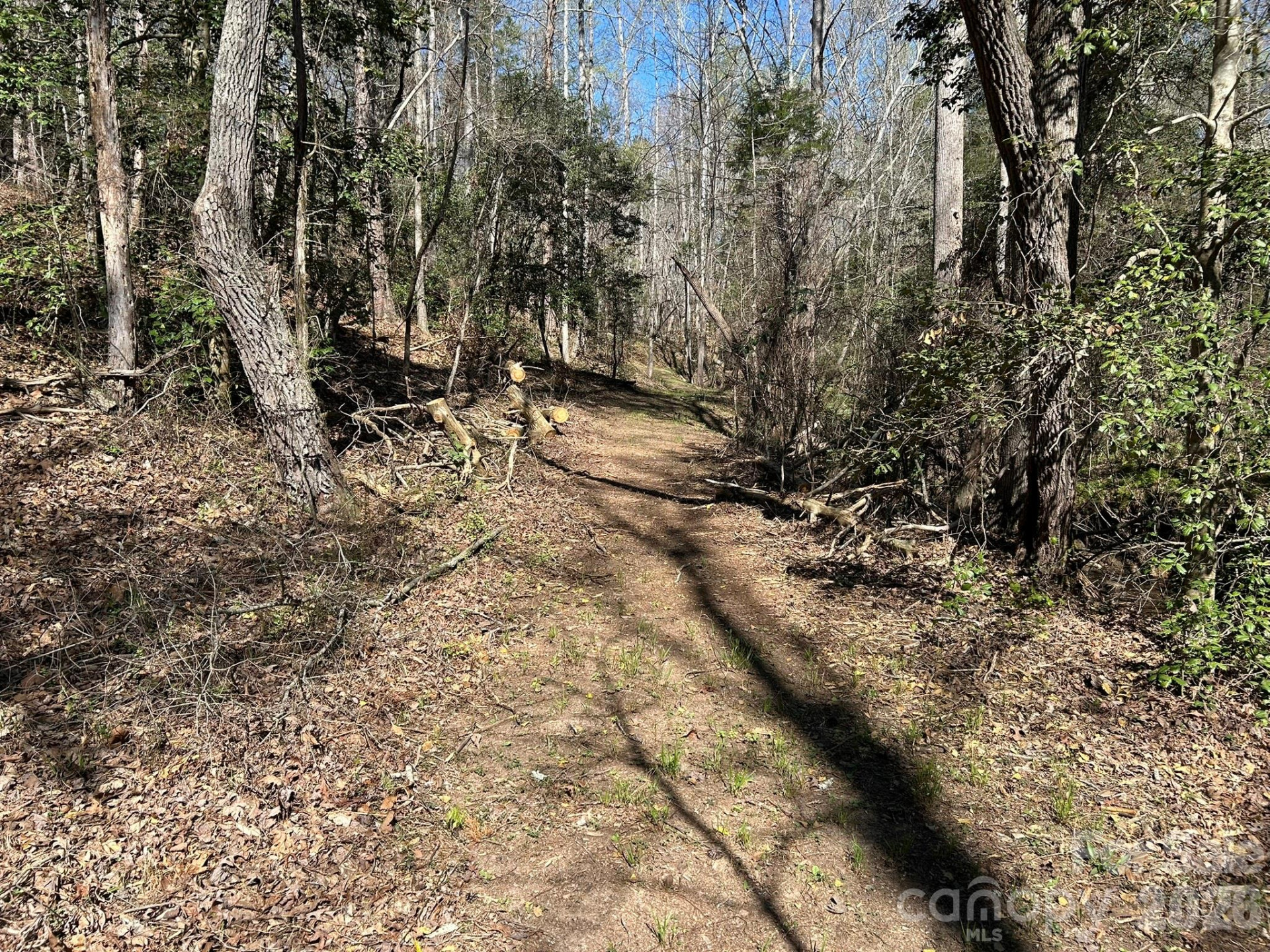 00 Island Ford Road - Photo 15