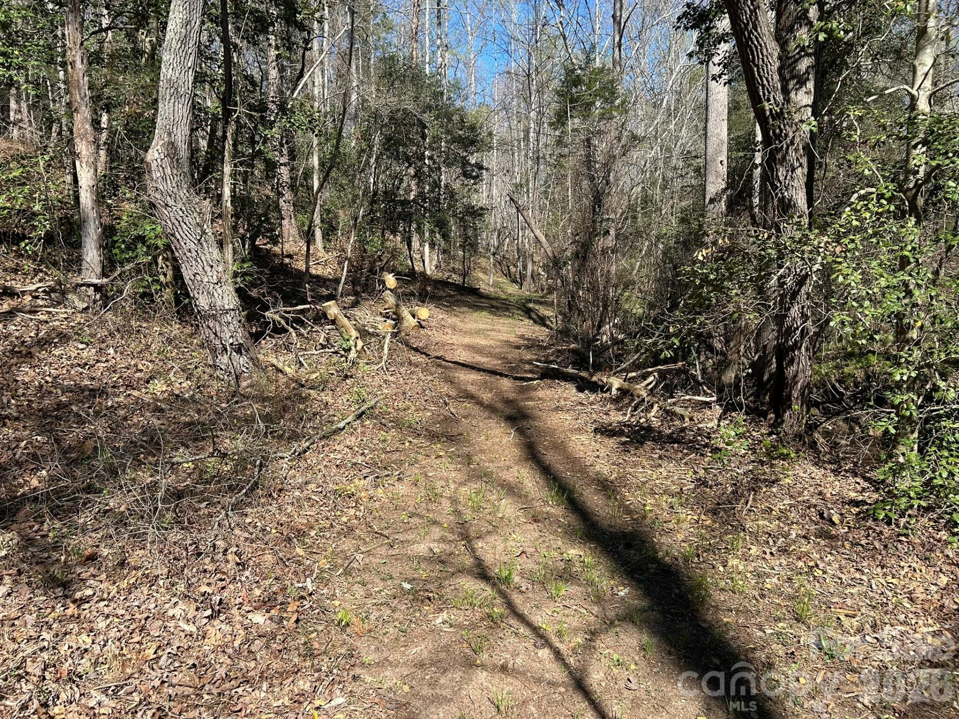 00 Island Ford Road - Photo 15