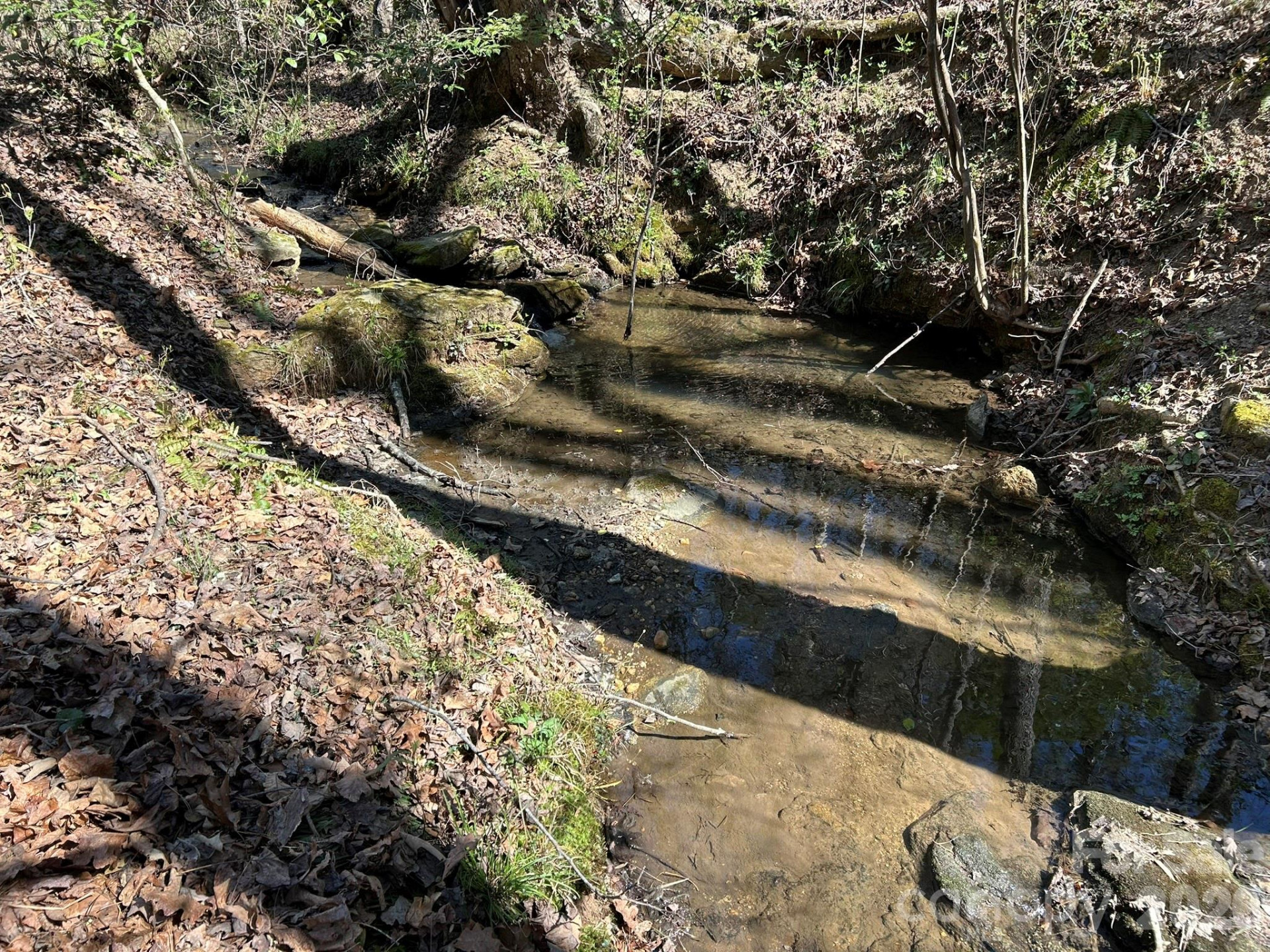 00 Island Ford Road - Photo 17