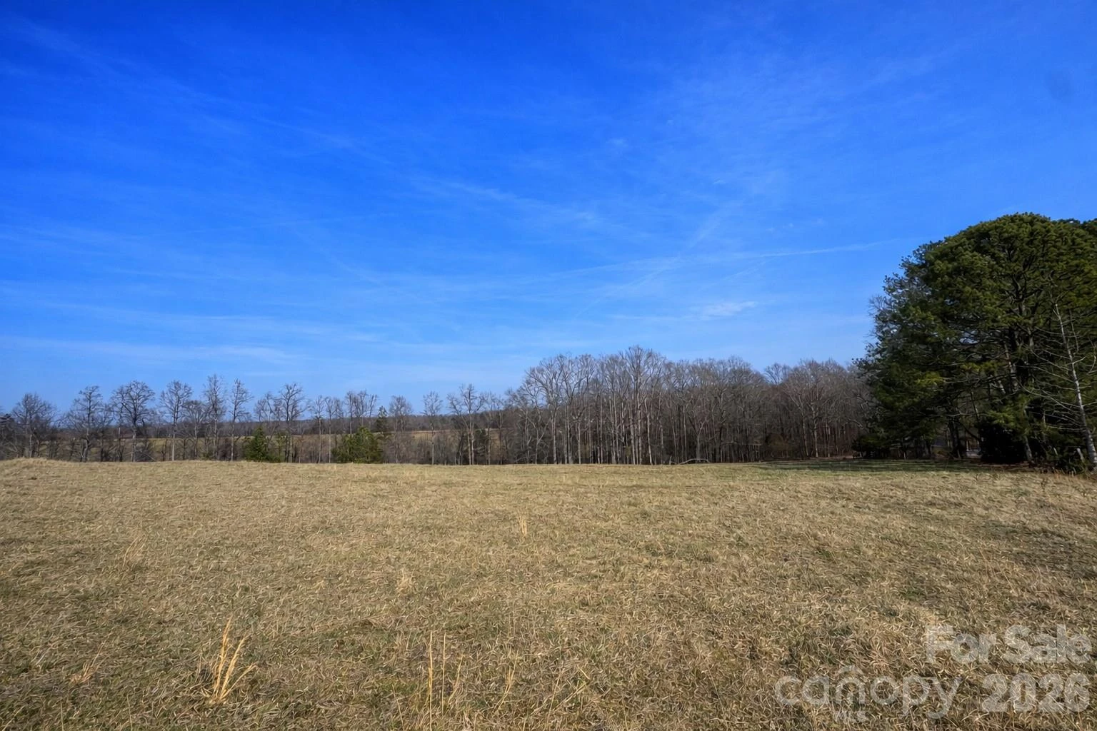 0 Red Barn Road - Photo 5