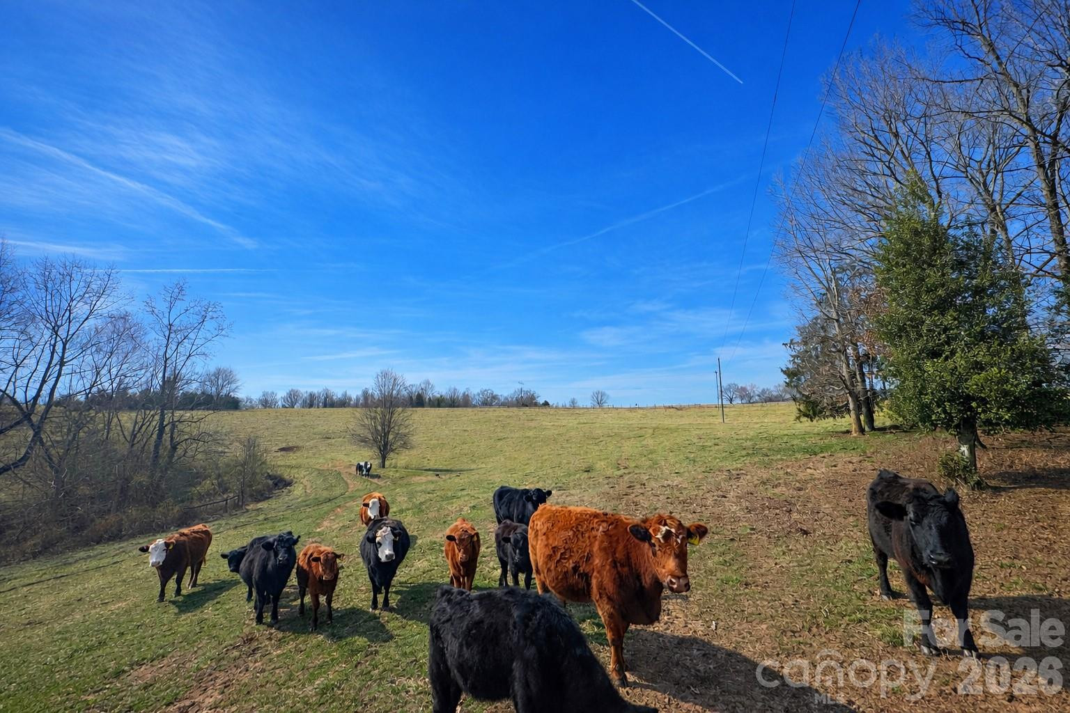 0 Red Barn Road - Photo 7