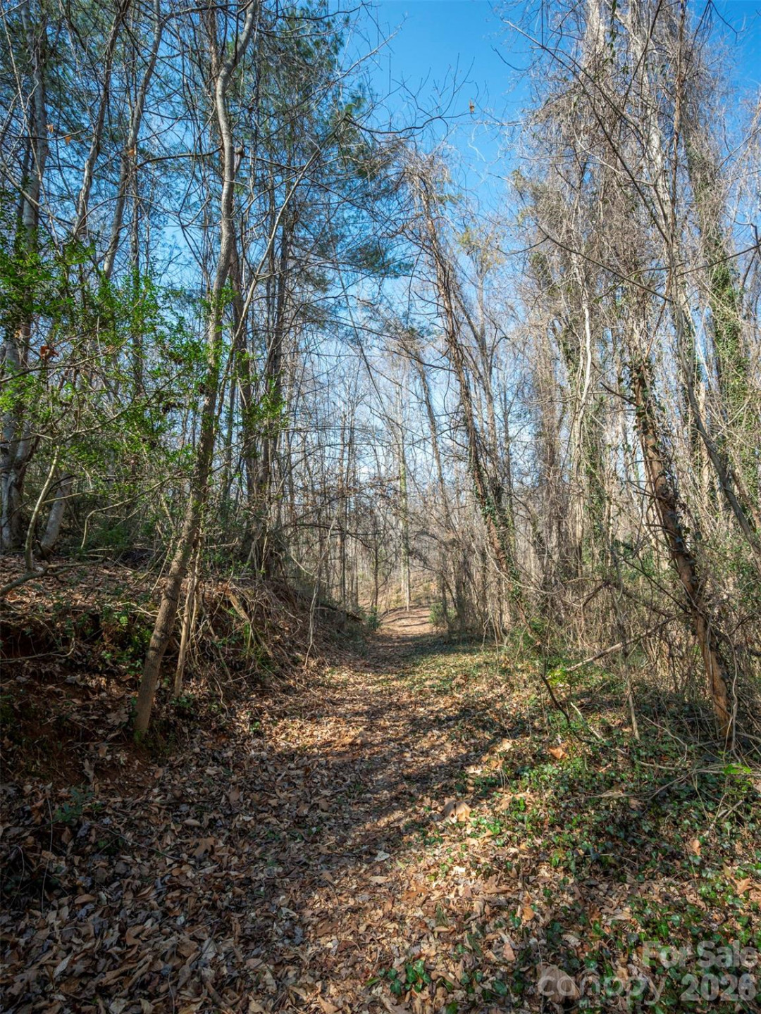 0000 Judge Road - Photo 15