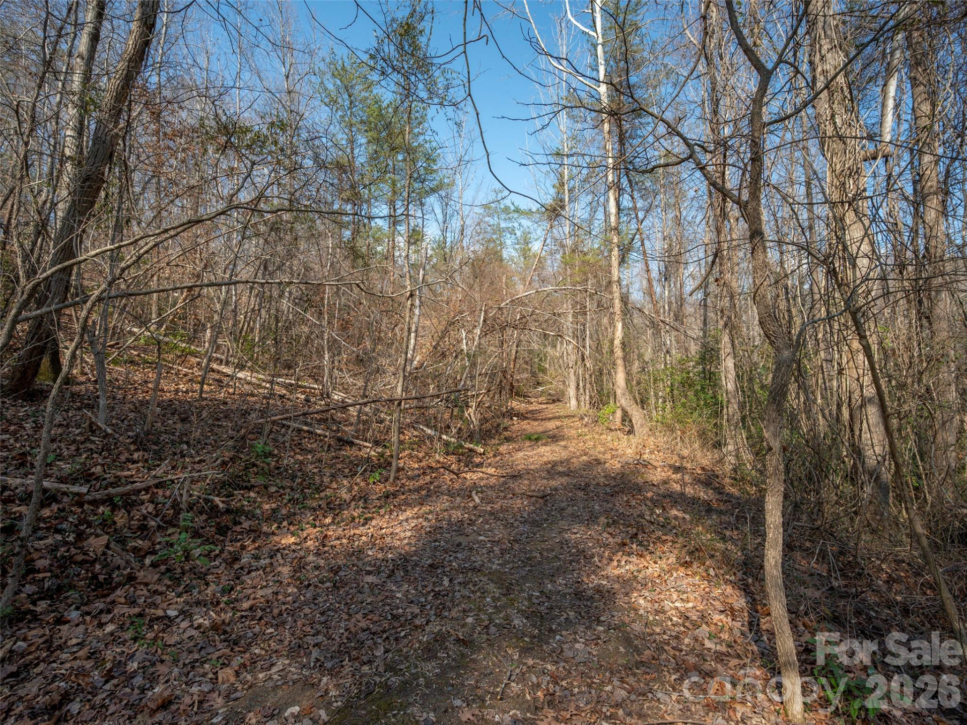 0000 Judge Road - Photo 16