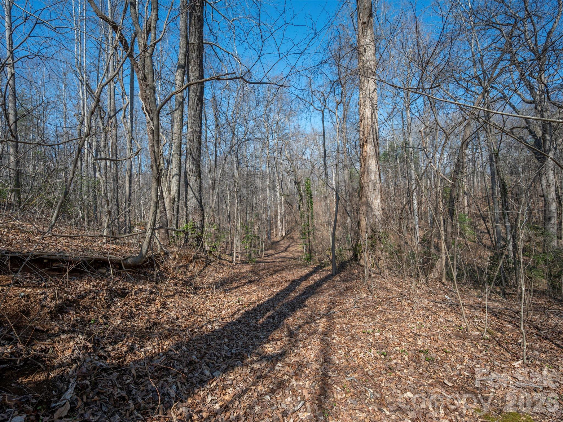 0000 Judge Road - Photo 17