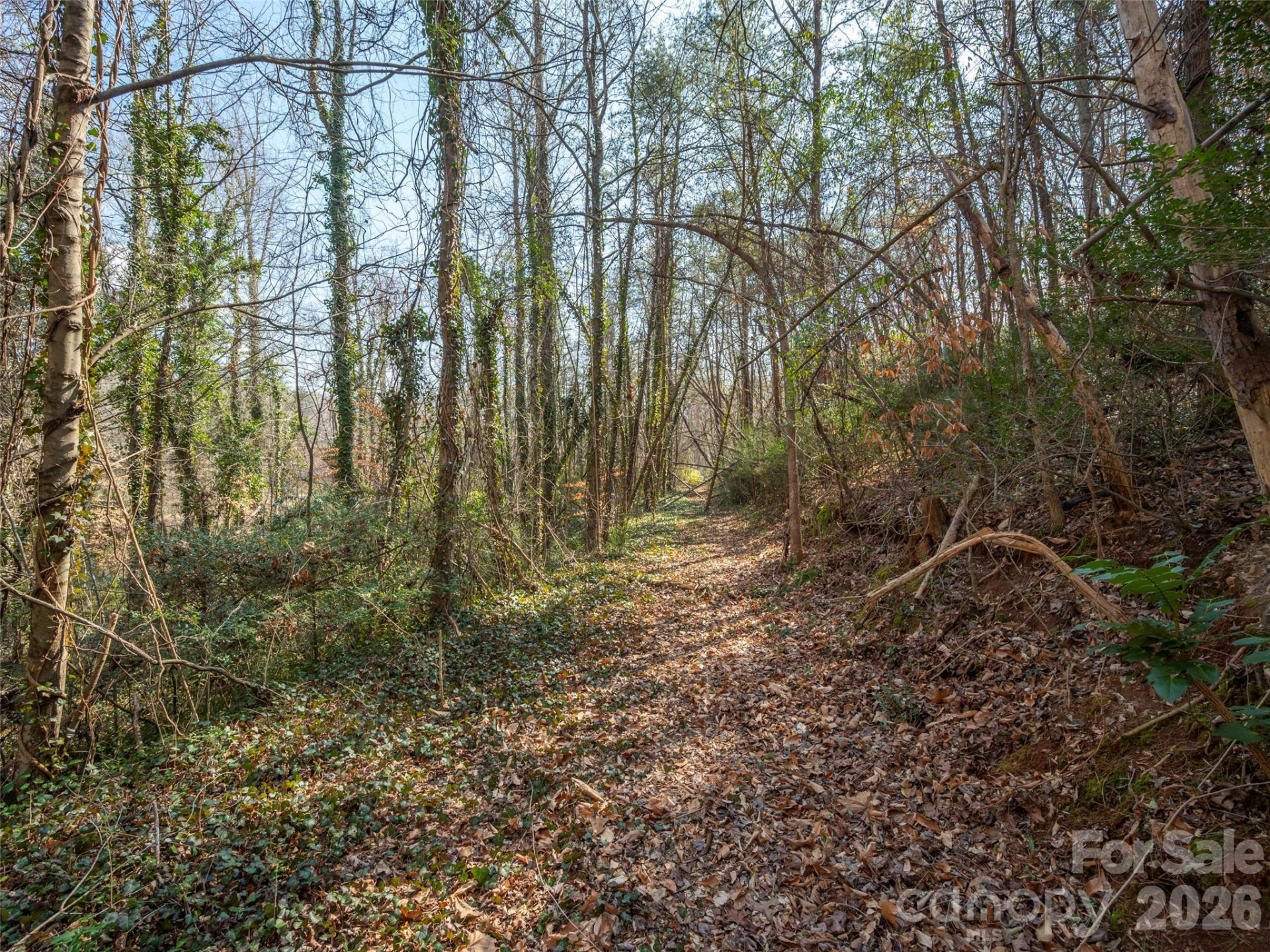 0000 Judge Road - Photo 18