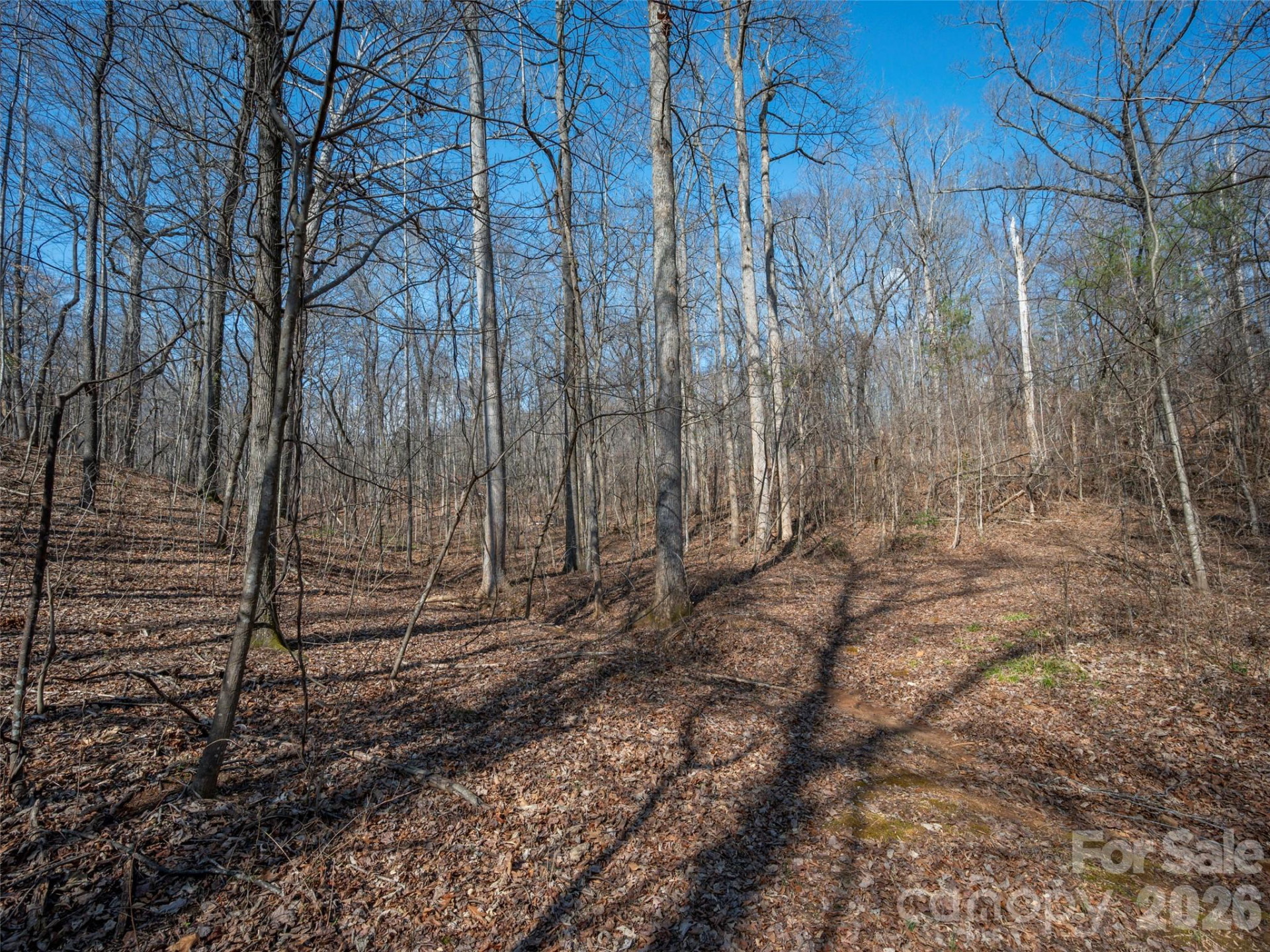 0000 Judge Road - Photo 19